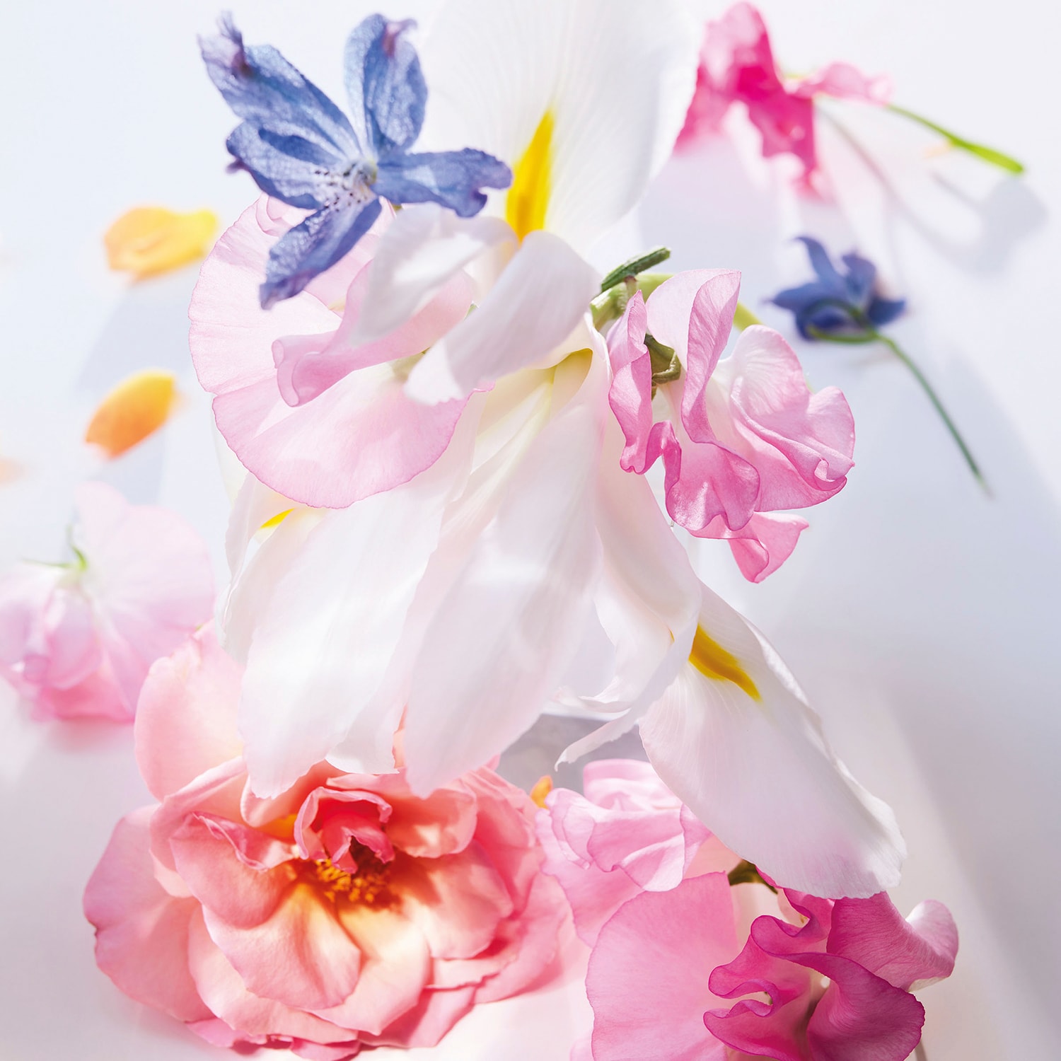 Miss Dior Roller-Pearl - Perfume de bola