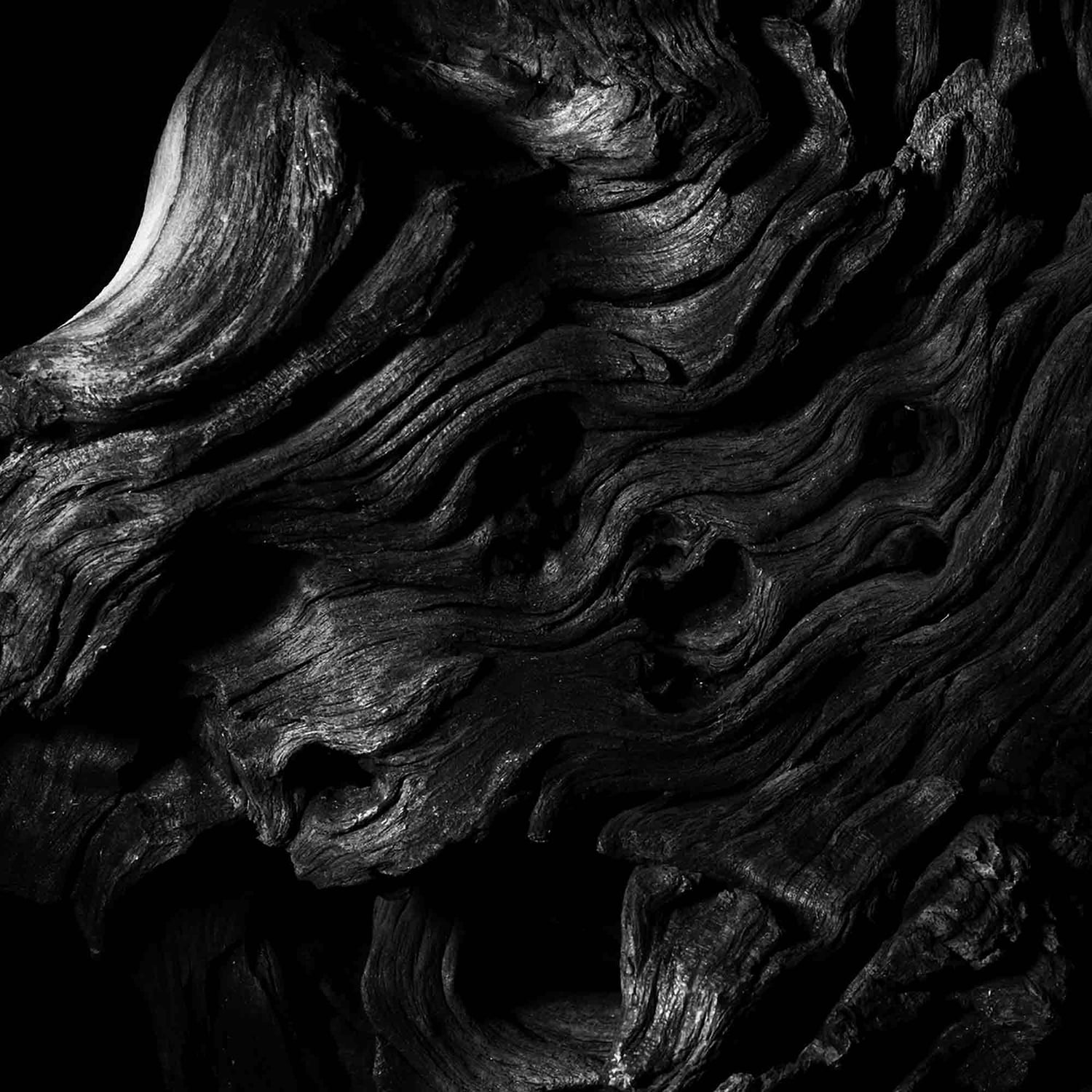 Patchouli Ardent - Eau de Parfum