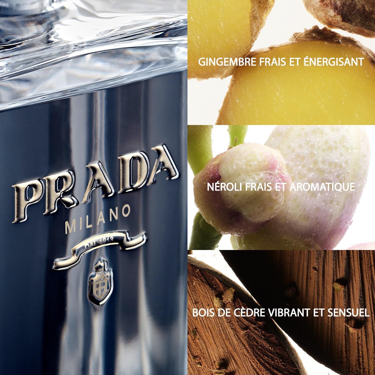 L'Homme Prada L'Eau - Eau de toilette