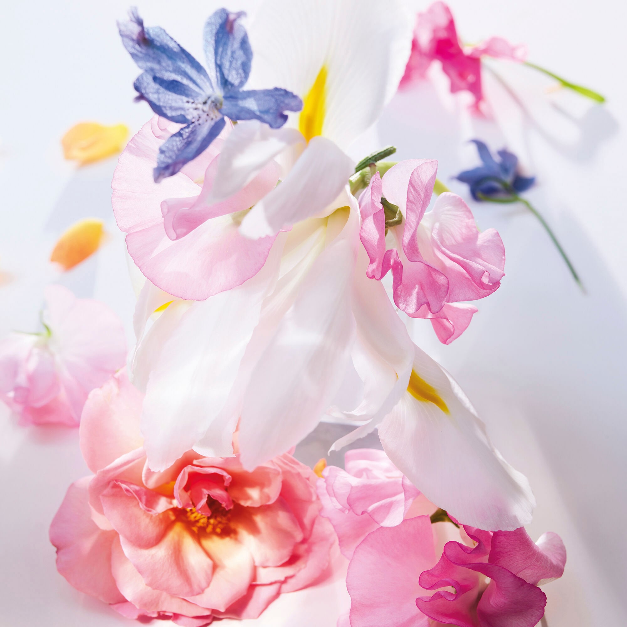 Miss Dior Eau de Parfum Mini Miss - Perfume en barra sin alcohol