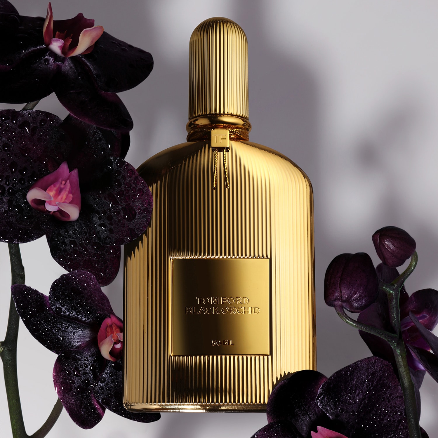 Black Orchid - Parfum