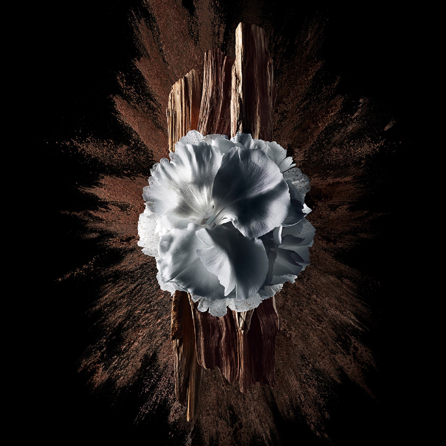 Gentleman Society - Eau de Parfum Extr&ecirc;me