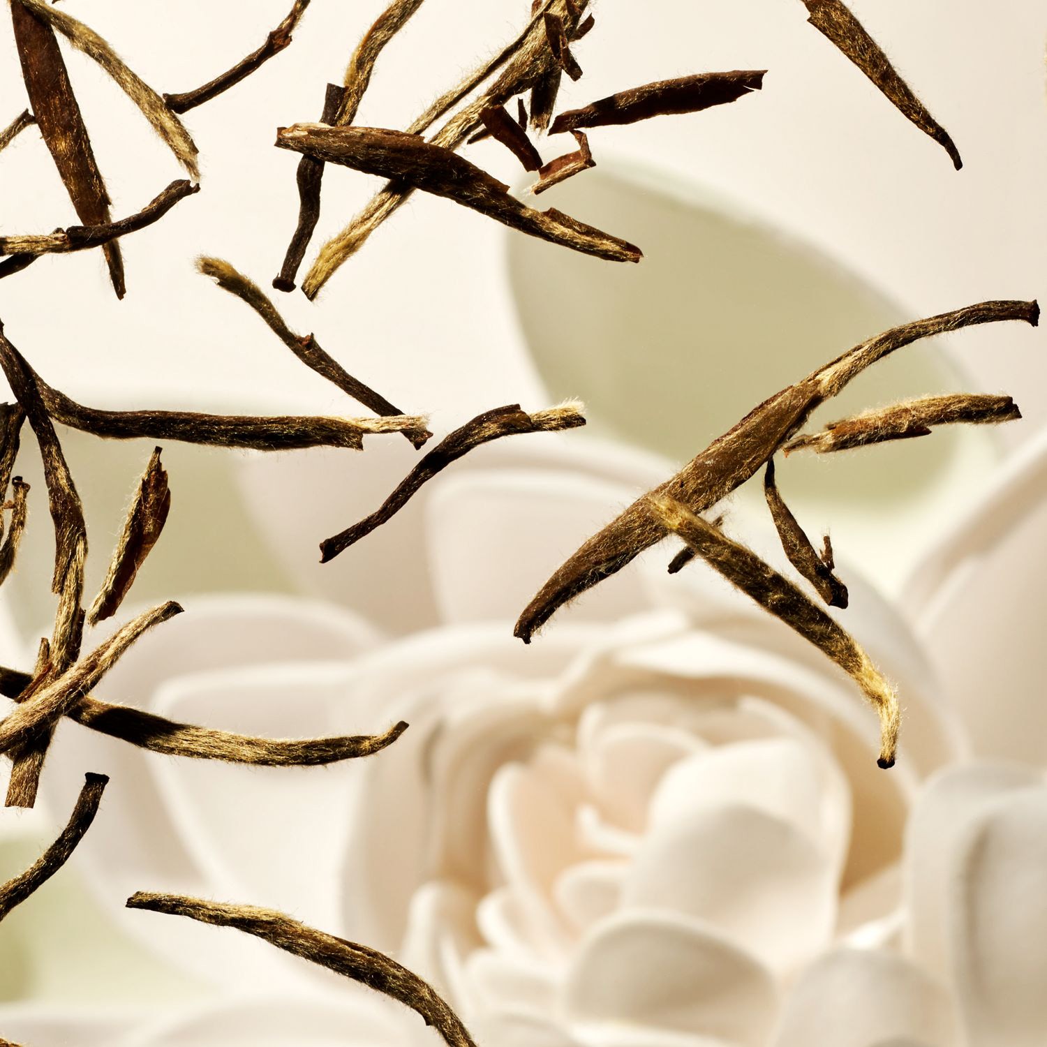 The Ritual of Karma - Bruma para el cuerpo y el pelo