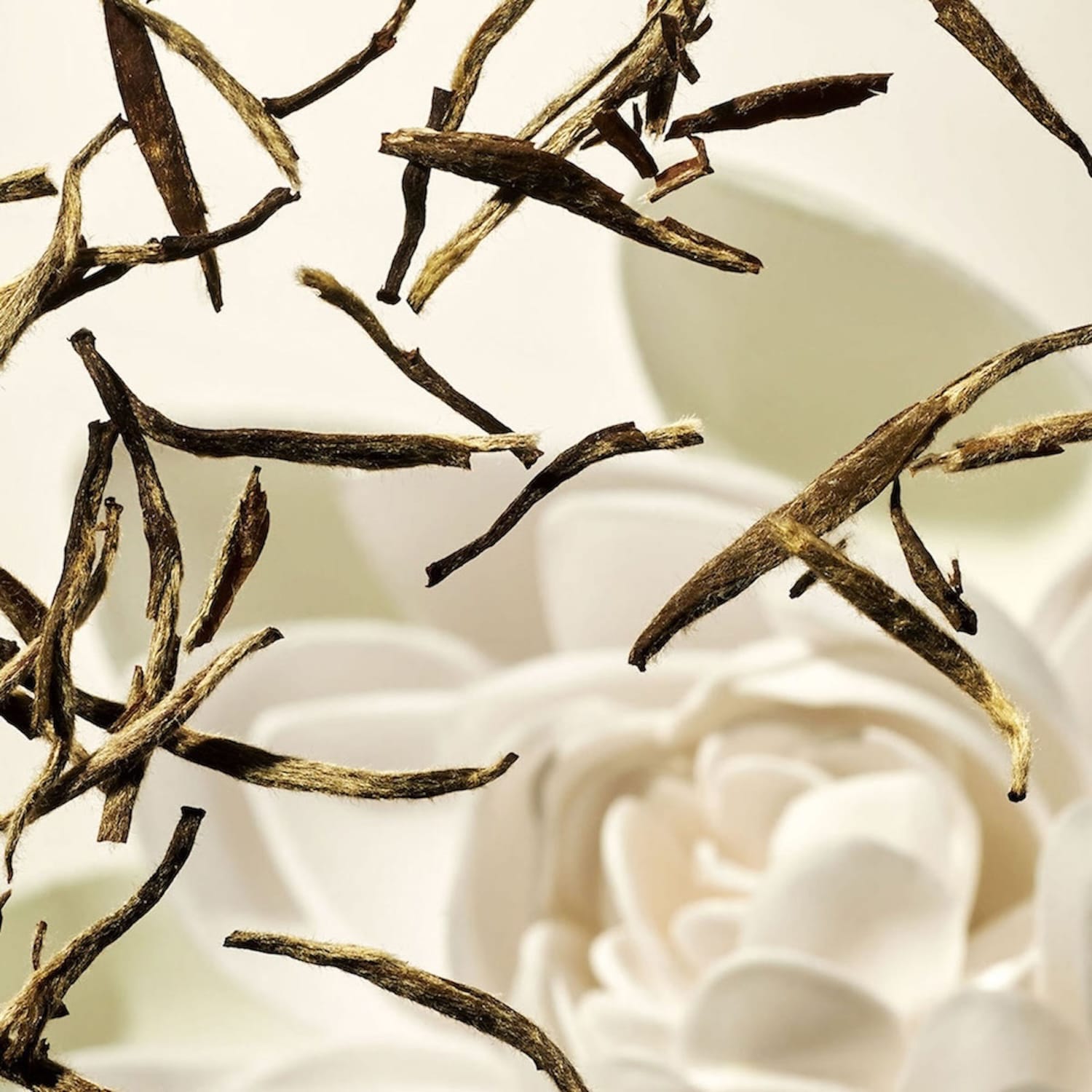 The Ritual of Karma - Mascarilla corporal