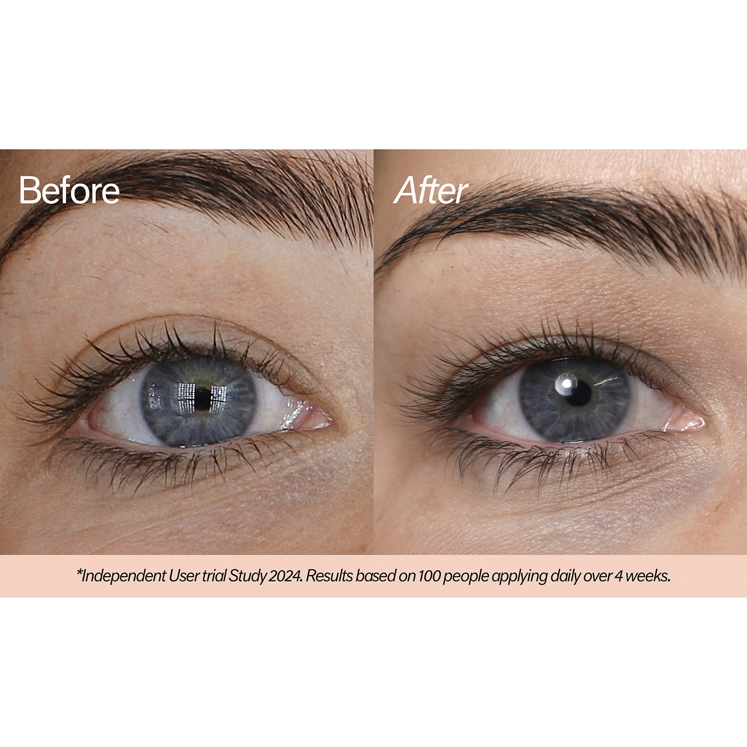 Pitta lash serum - S&eacute;rum para pesta&ntilde;as Pitta