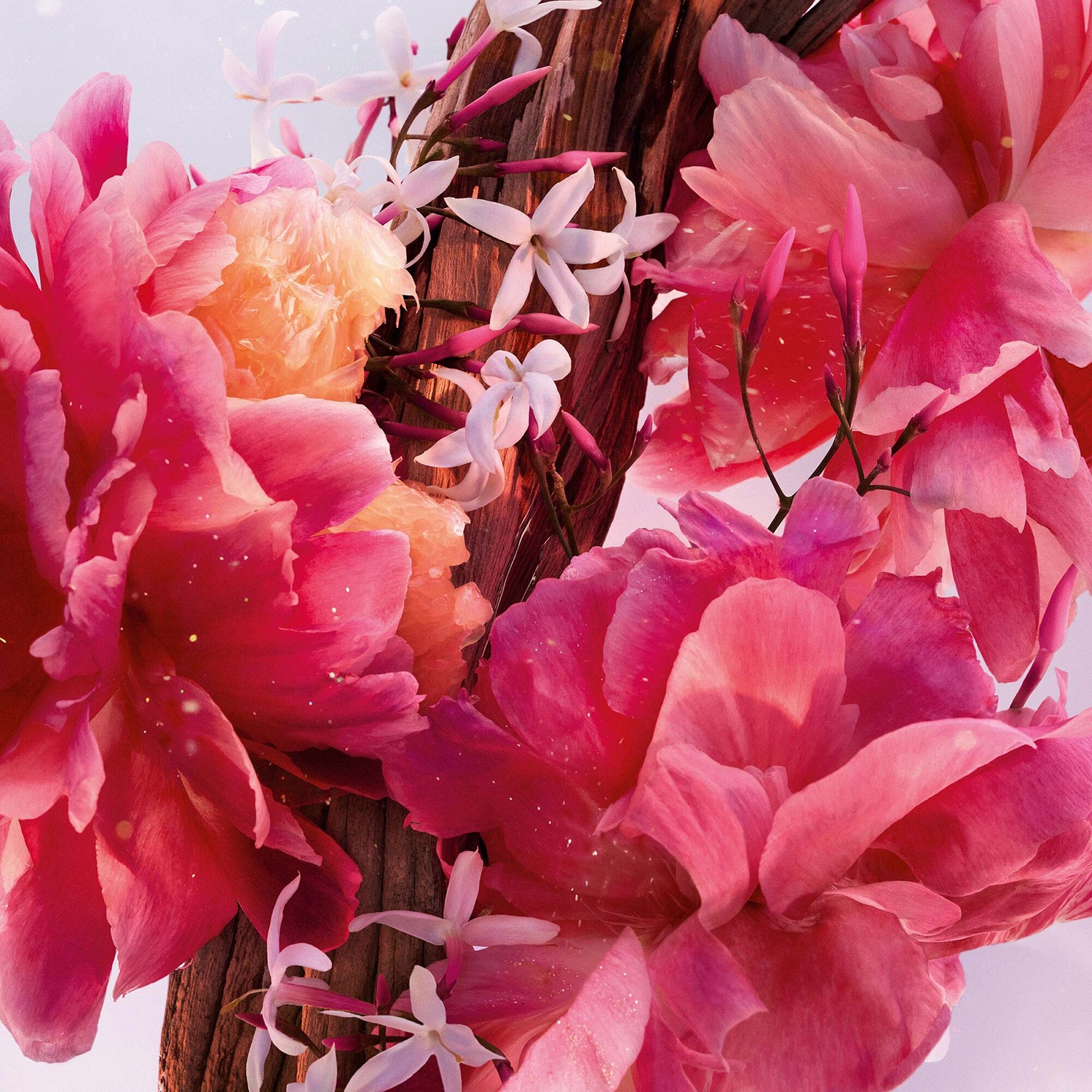 Miss Dior Parfum Roller-Pearl - Perfume de viaje floral, afrutado, amaderado