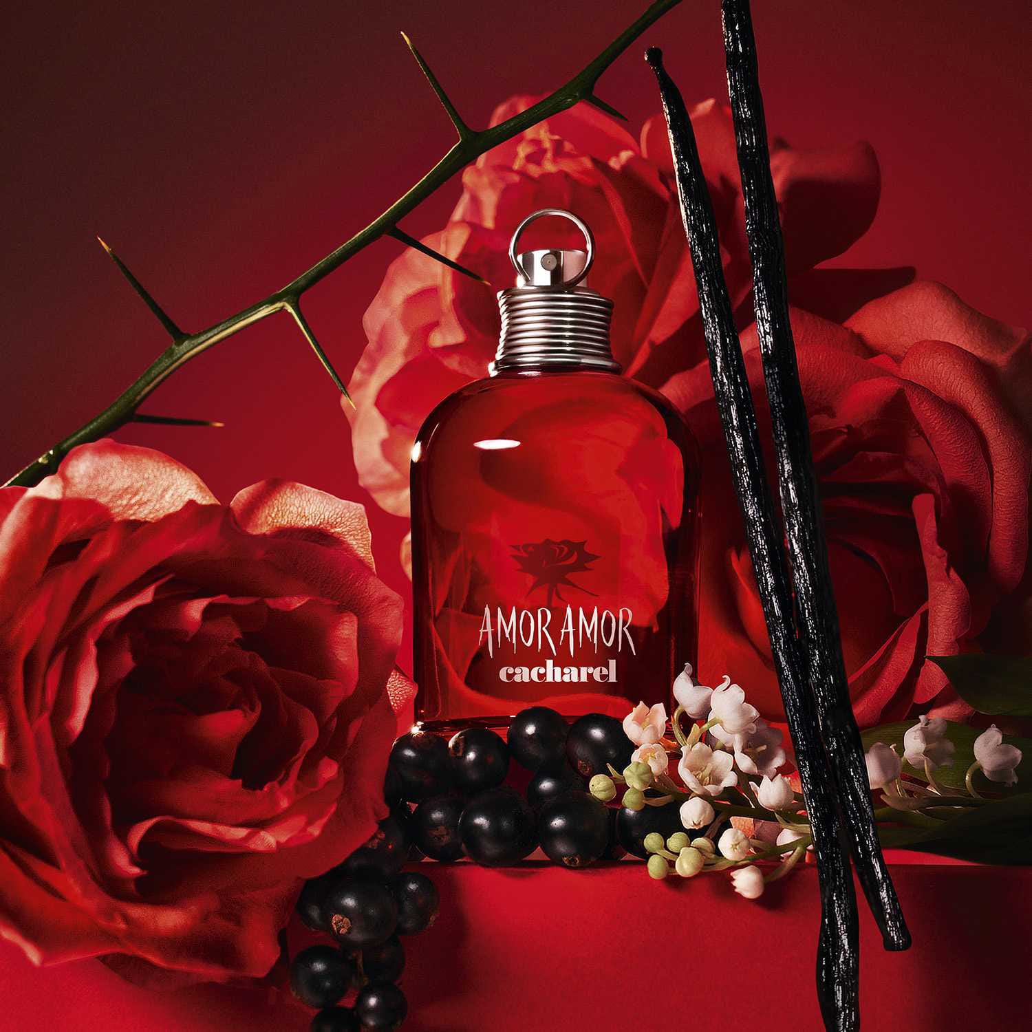 Amor Amor - Eau de Toilette Perfume de Mujer
