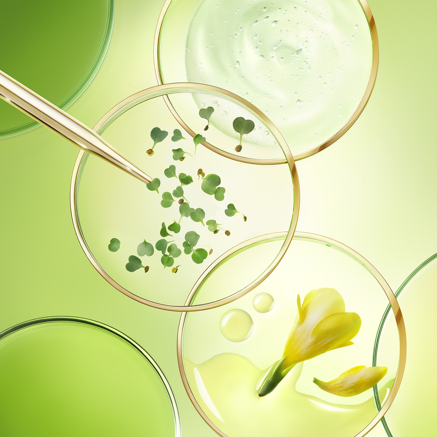 Nuxuriance Ultra - Crema Antiedad Global SPF30