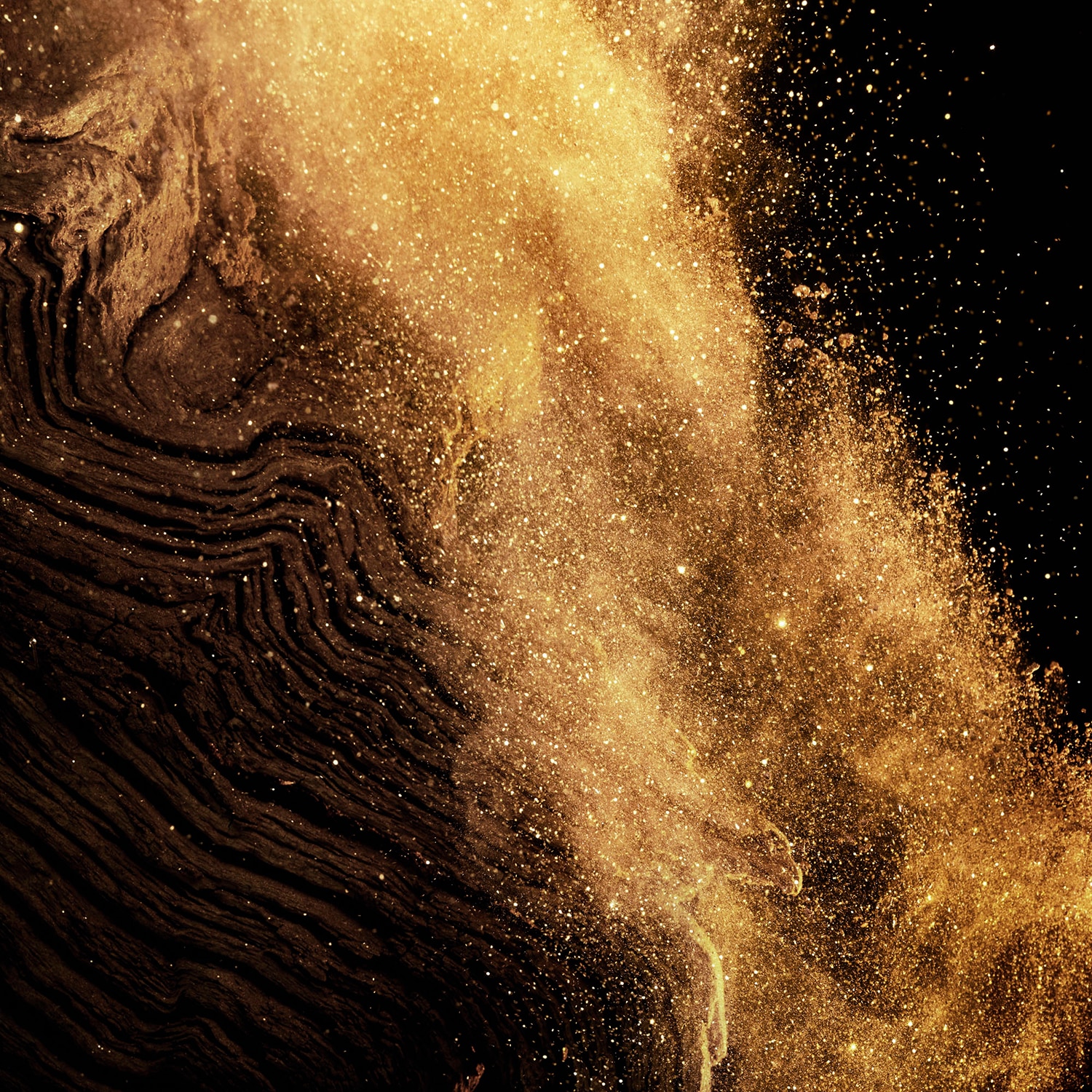 Absolus Allegoria - Epices Exquises - Eau de Parfum