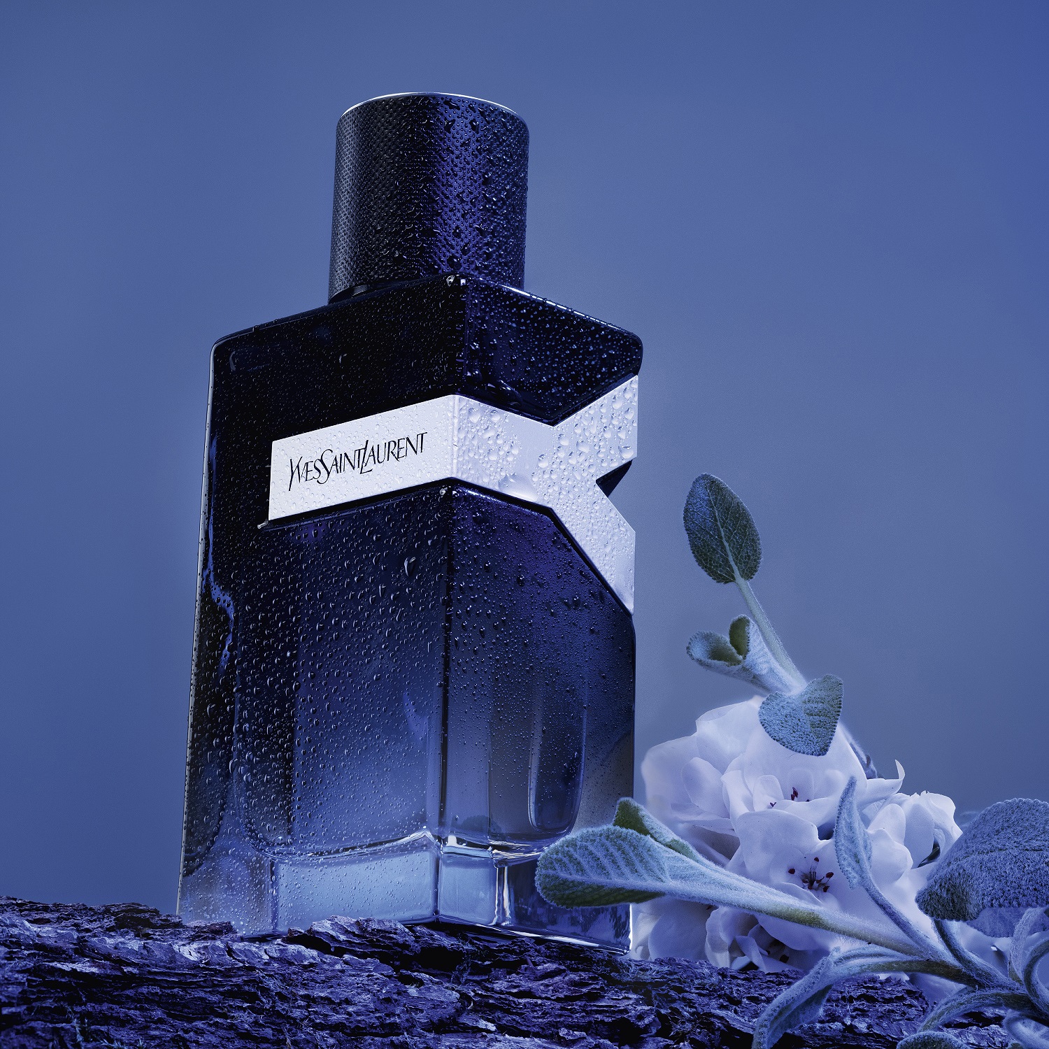 Y - Eau de Parfum de hombre