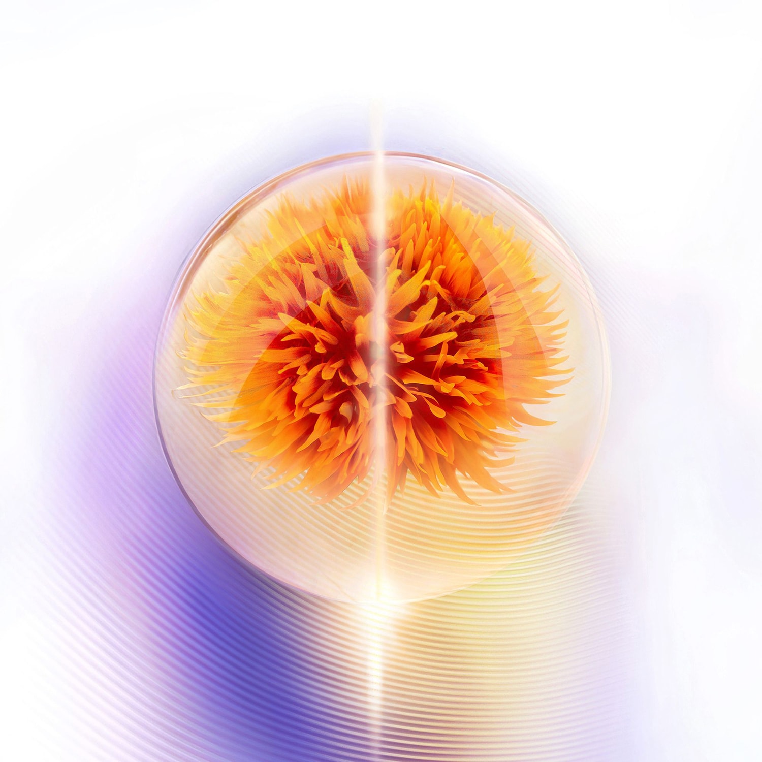 Vital Perfection Uplifting and Firming Advanced Cream - crema antiedad