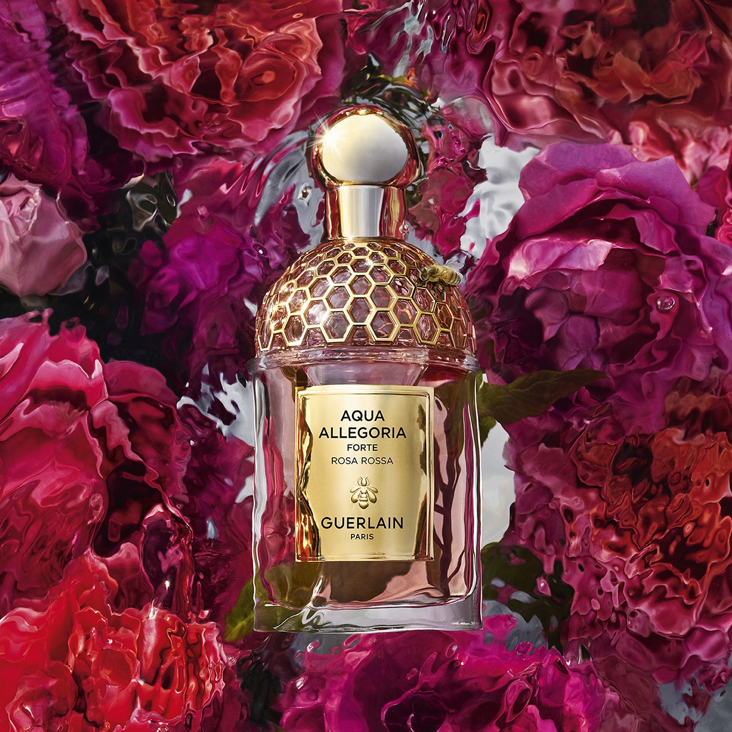 Aqua Allegoria Forte Rosa Rossa - Eau de Parfum