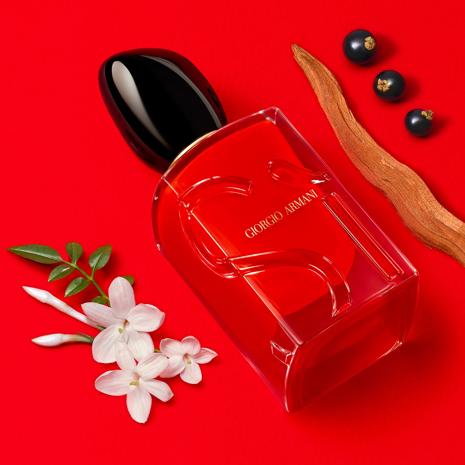 S&igrave; Passione - Eau de Parfum