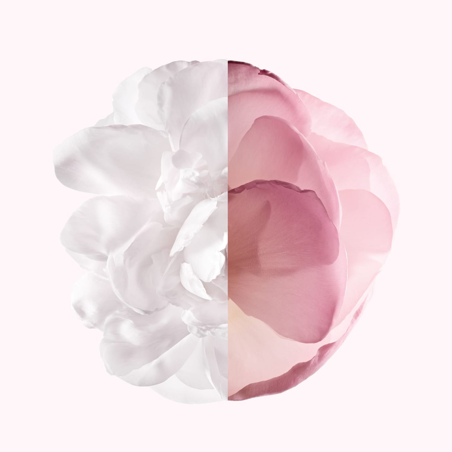 Irr&eacute;sistible Givenchy - Eau de Parfum Very Floral