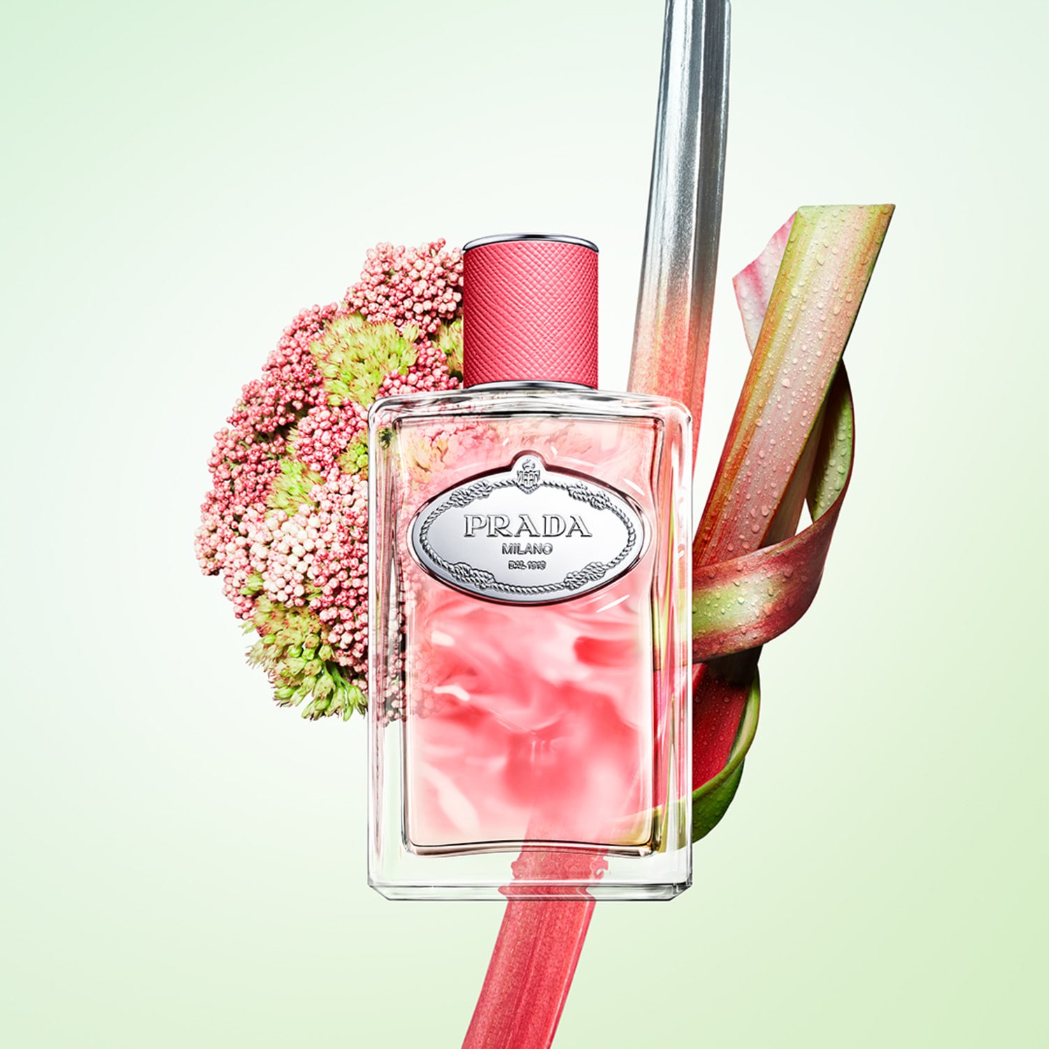 Infusion de Rhubarbe - Eau de Parfum