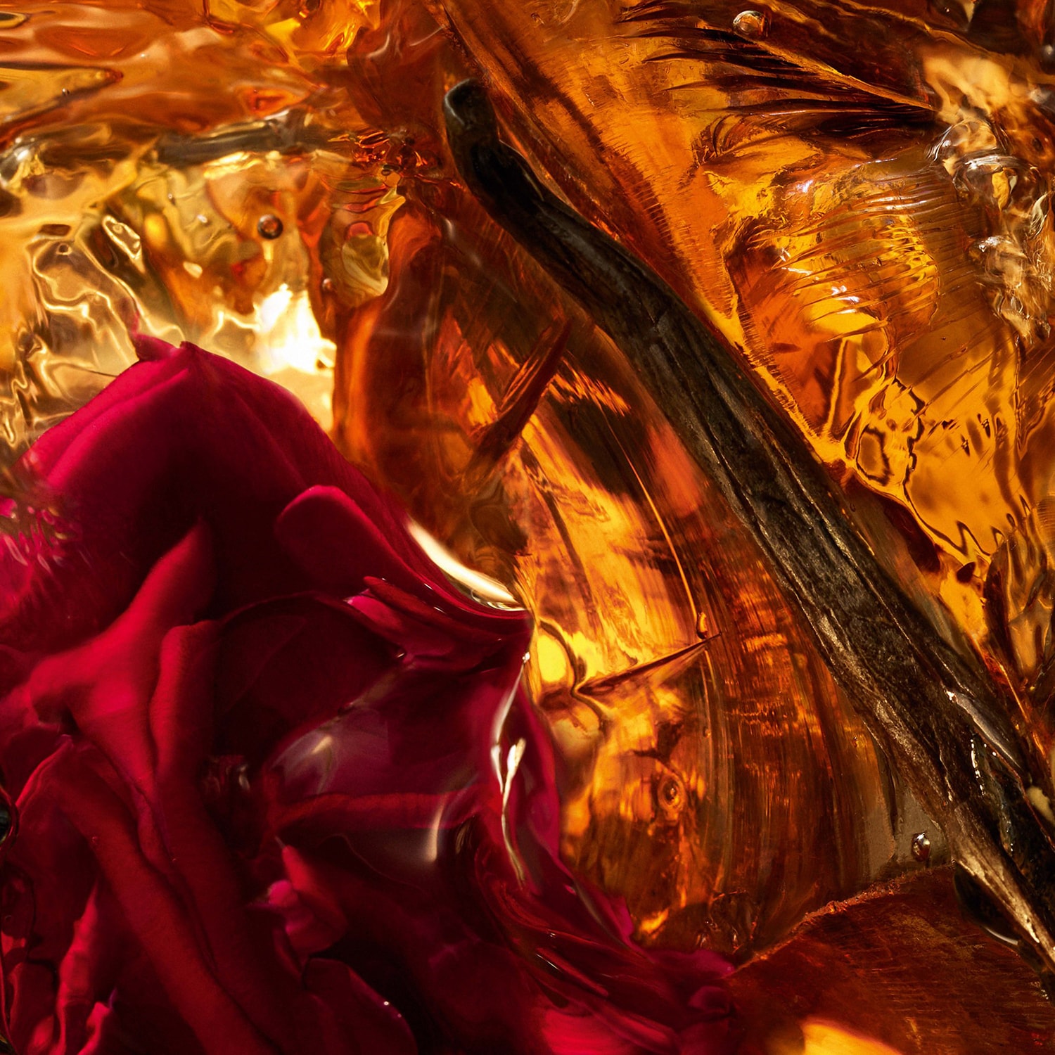 Absolus Allegoria Ambre Samar - Eau de Parfum