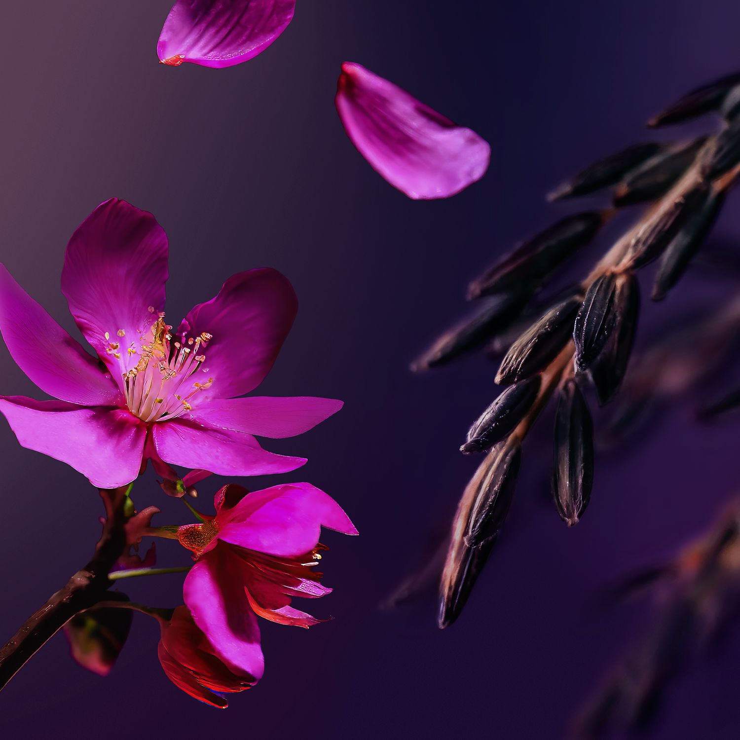 The Ritual of Yozakura - Gel Ducha Espumoso