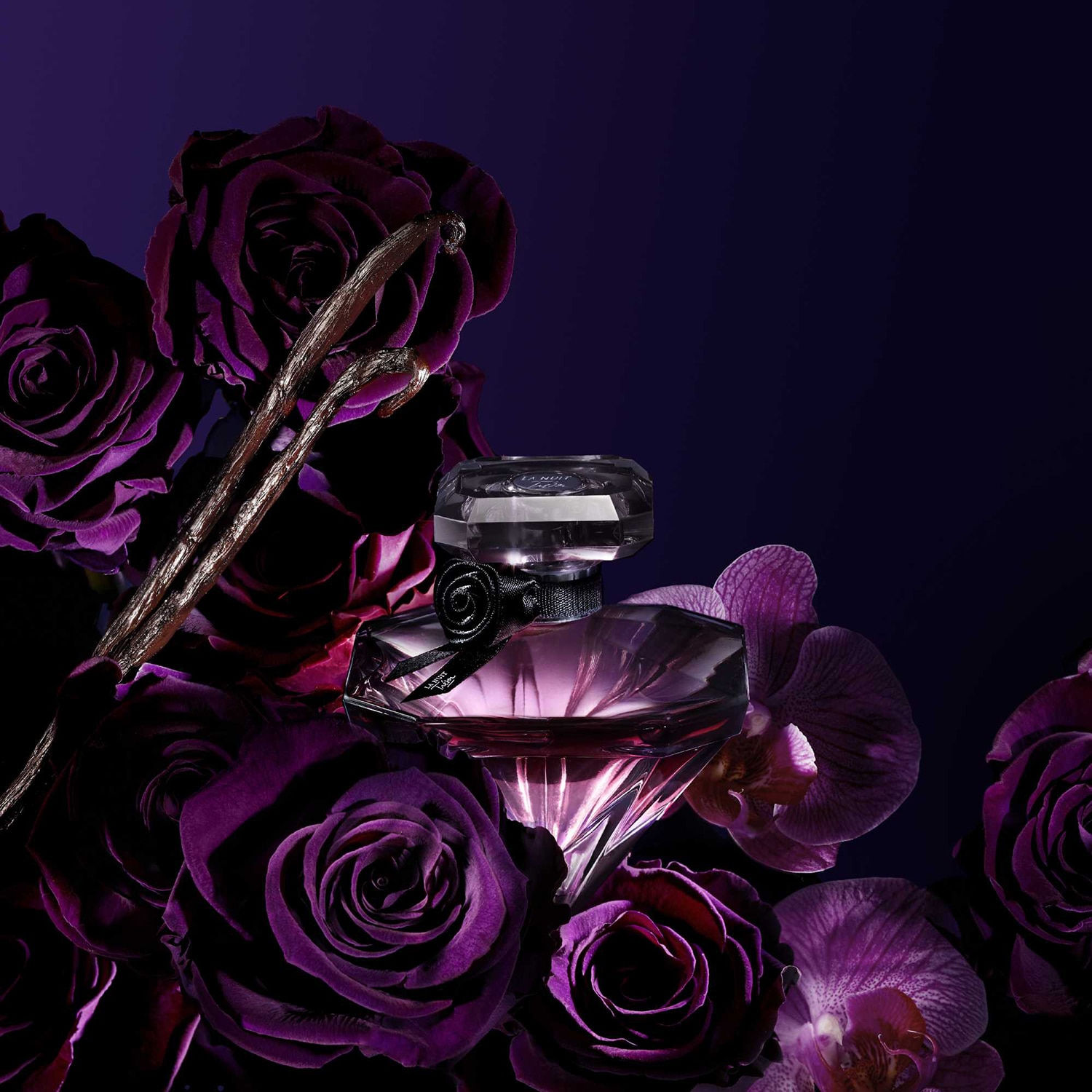 La Nuit Tr&eacute;sor Eau de Parfum - Perfume de mujer