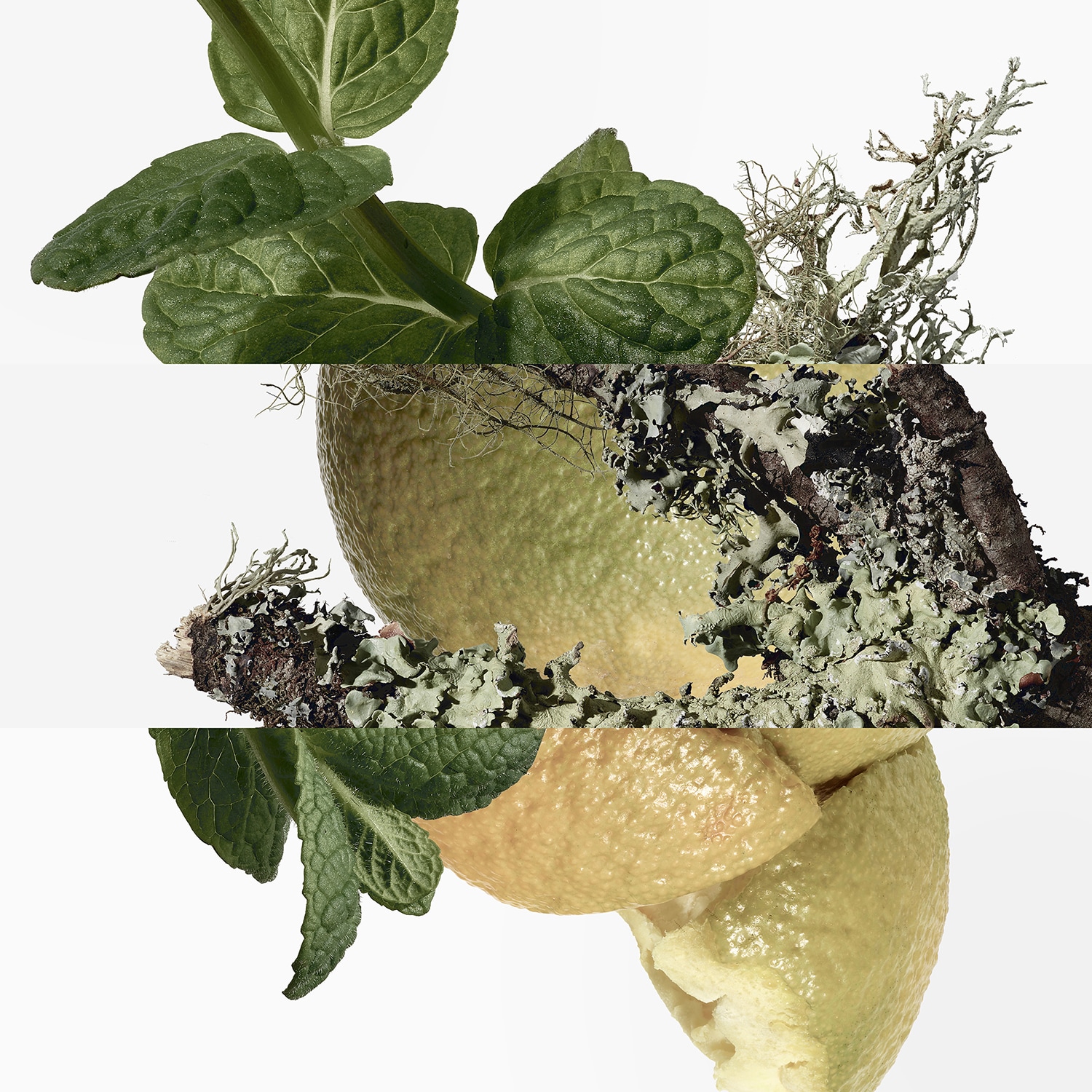 Eau d'orange Verte - Eau de Cologne