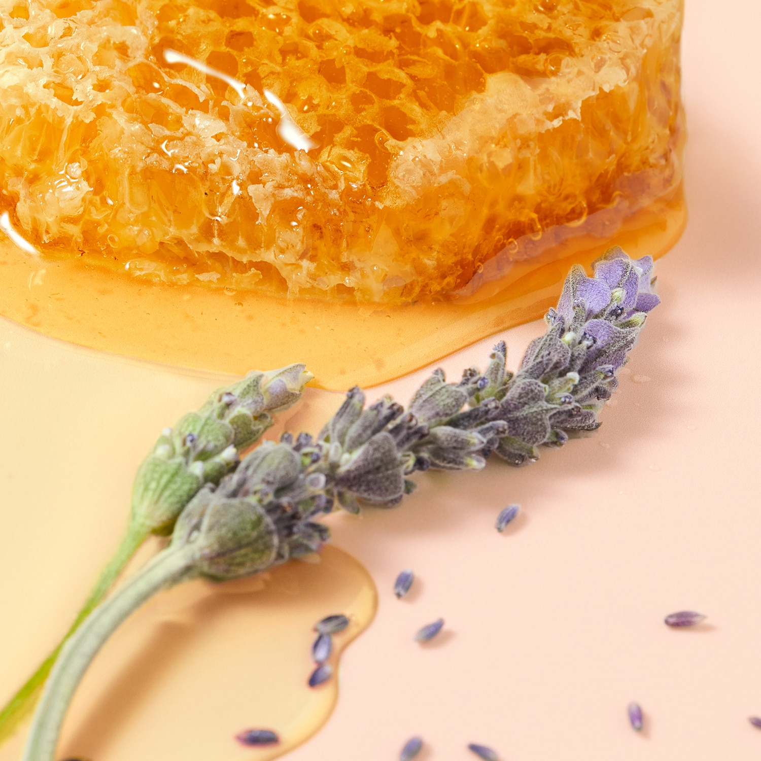 R&ecirc;ve de miel -  Cuidado labial con miel