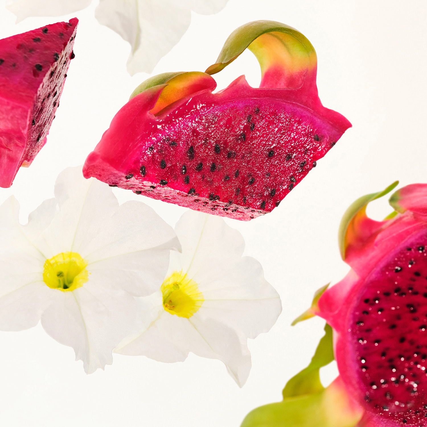 Beija Flor Party of Two - Estuche d&uacute;o