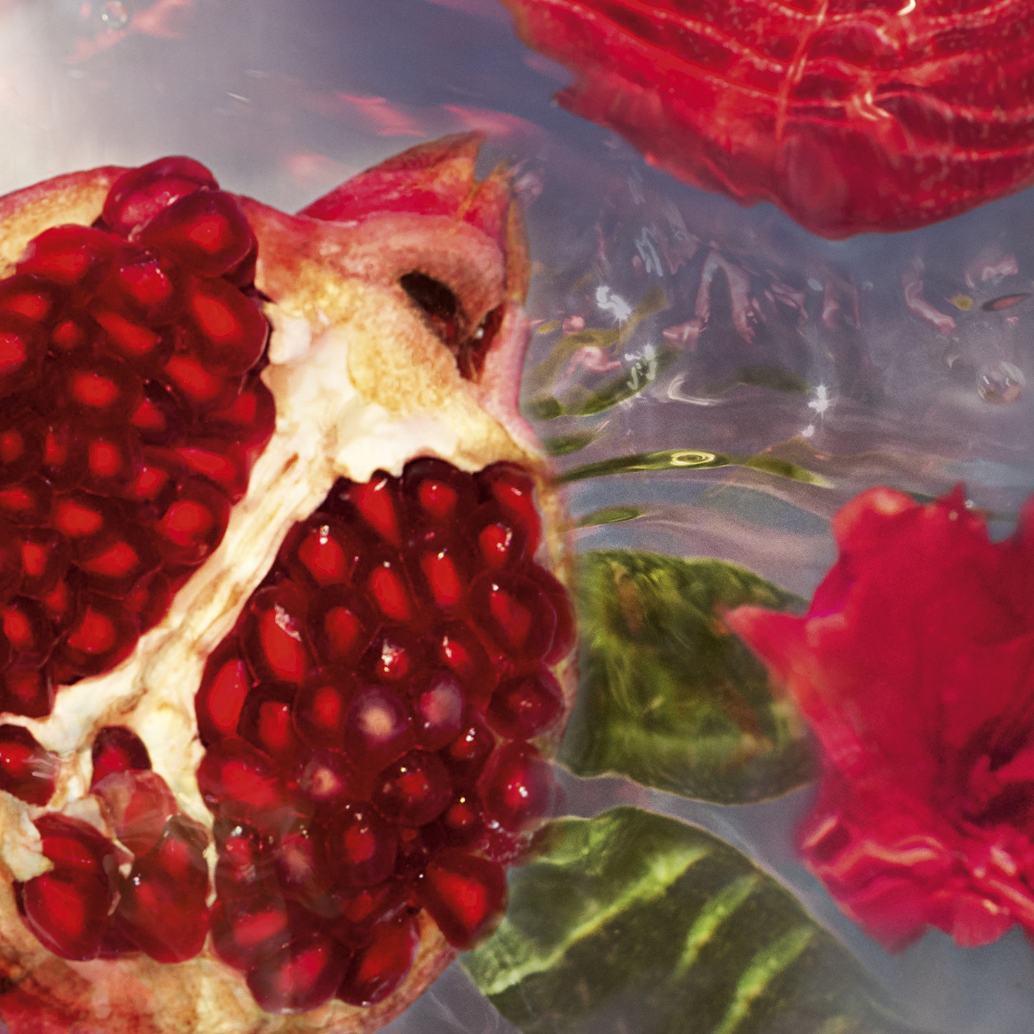 Aqua Allegoria Granada Salvia - Eau de Toilette