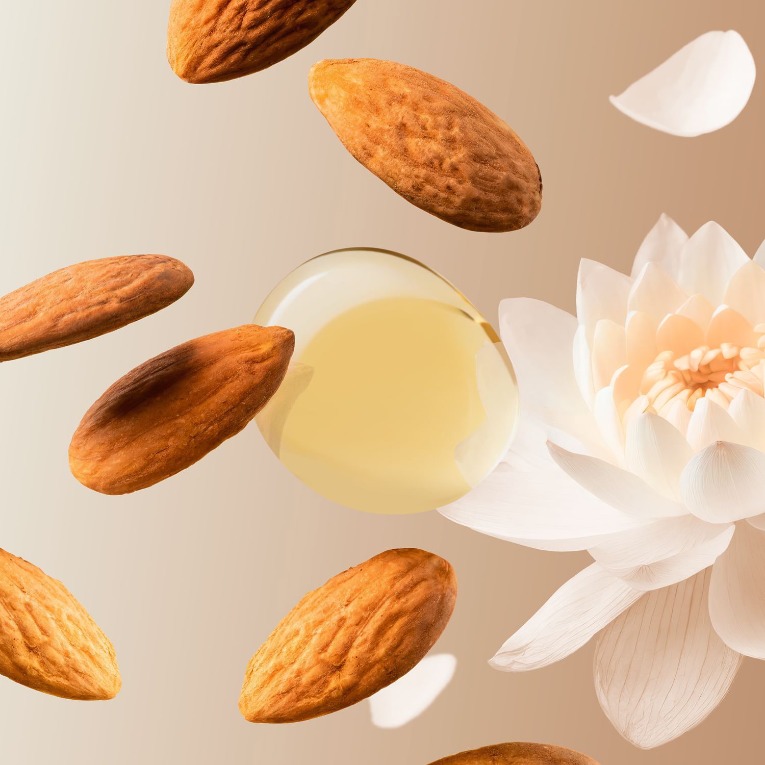 The Ritual of Karma - Aceite de Ducha