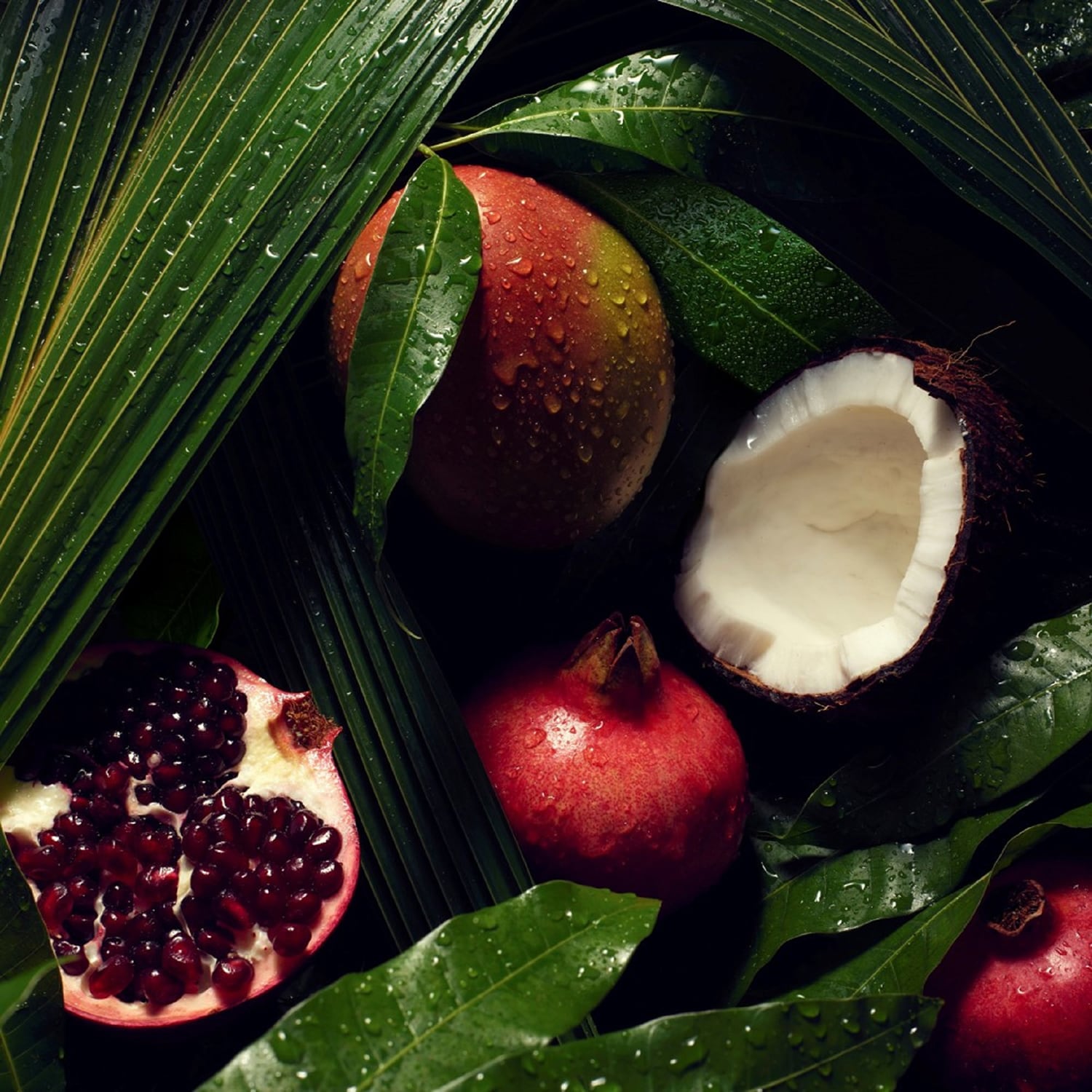 Nutriplenish  - Acondicionador