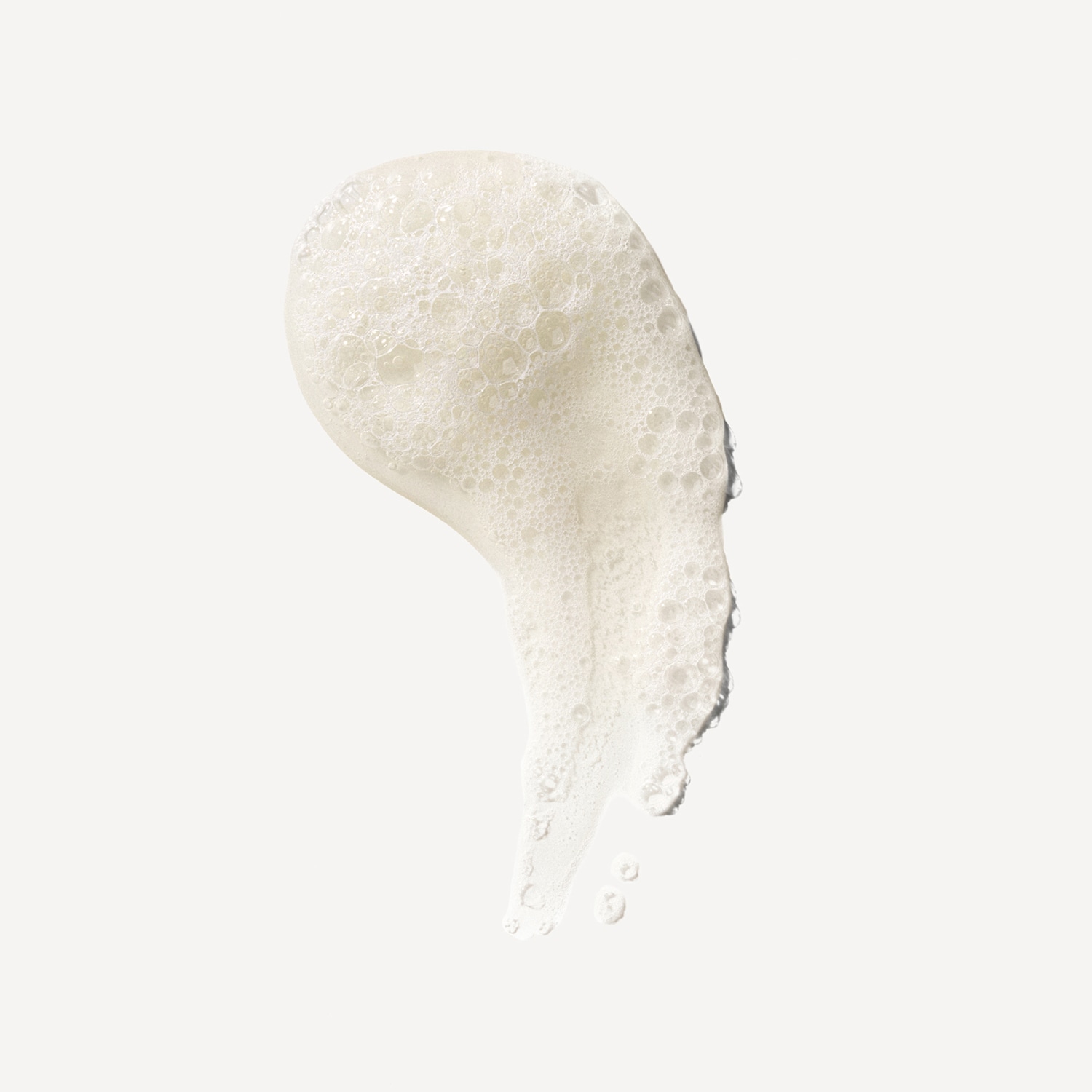 No. 4 Fine Bond Maintenance &ndash; Champ&uacute;