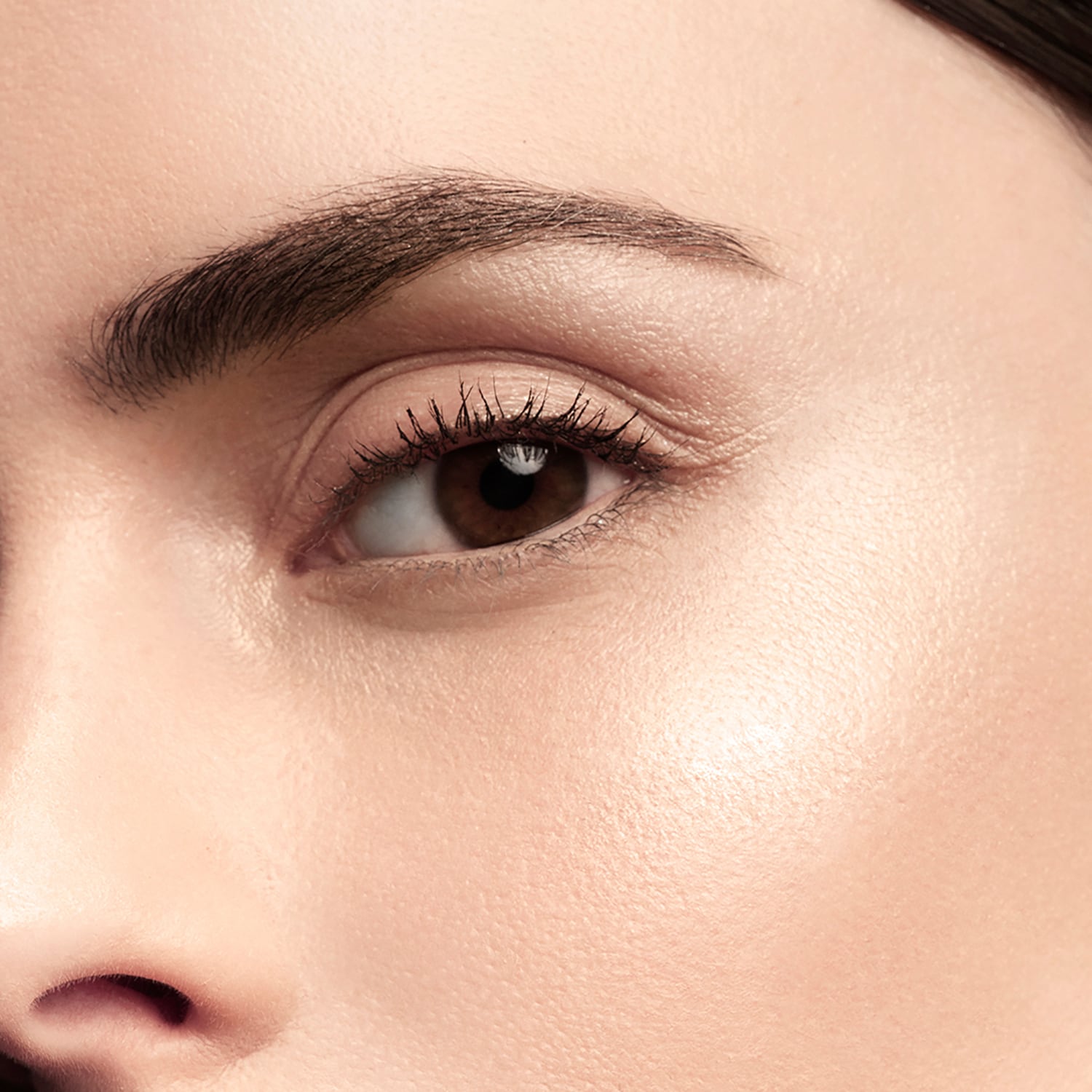 Prisme Libre Highlighter &ndash; Polvos iluminadores Edici&oacute;n Limitada