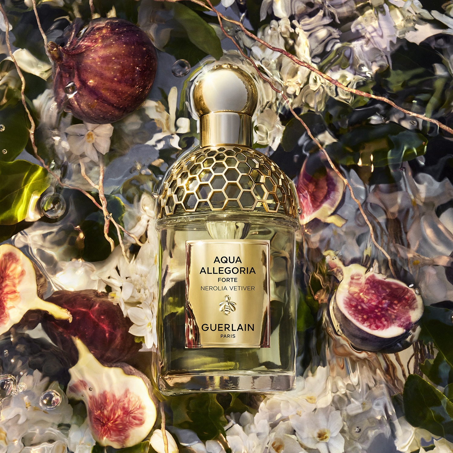 Aqua Allegoria Forte Nerolia Vetiver - Eau de Parfum
