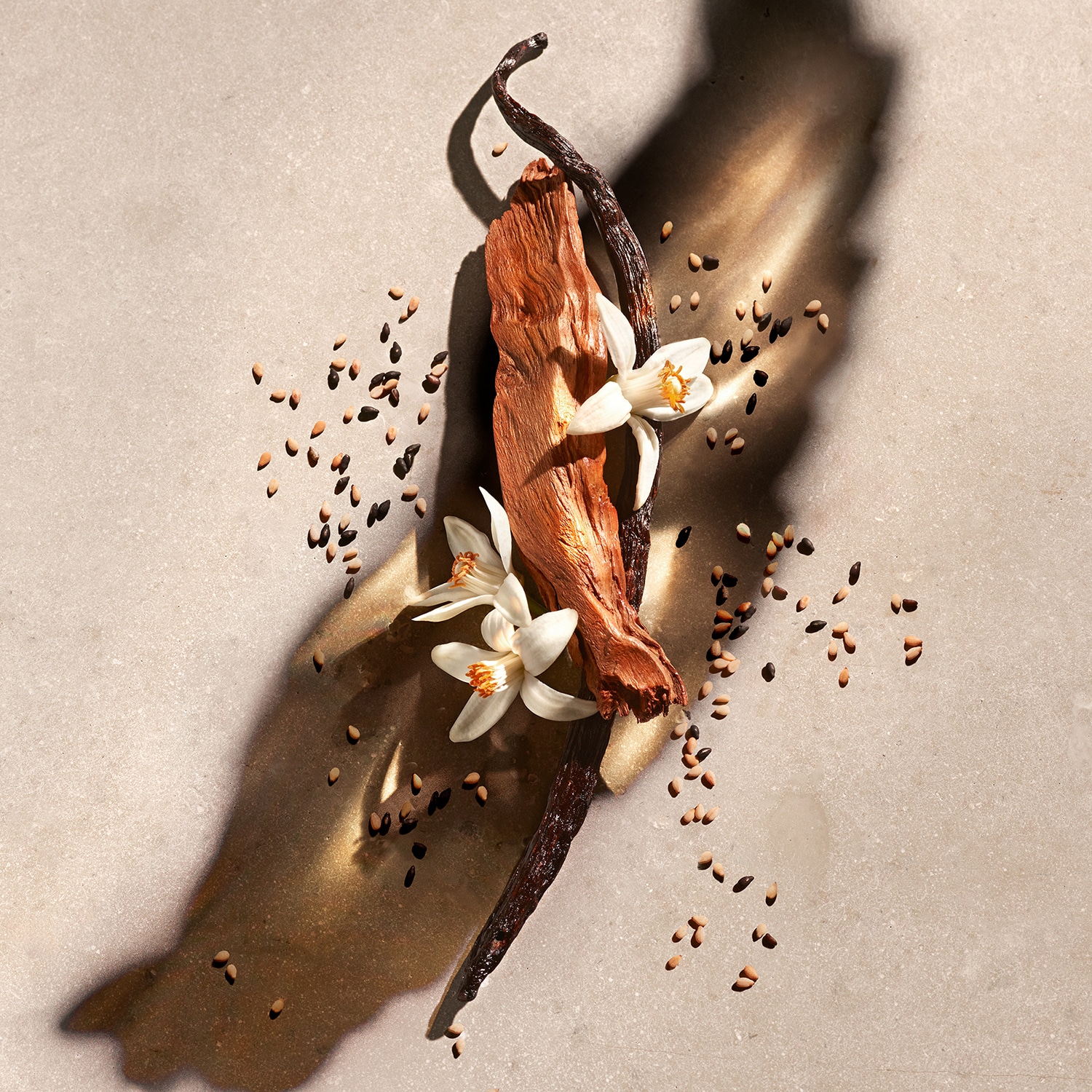 Zadig - Eau de Parfum Recargable