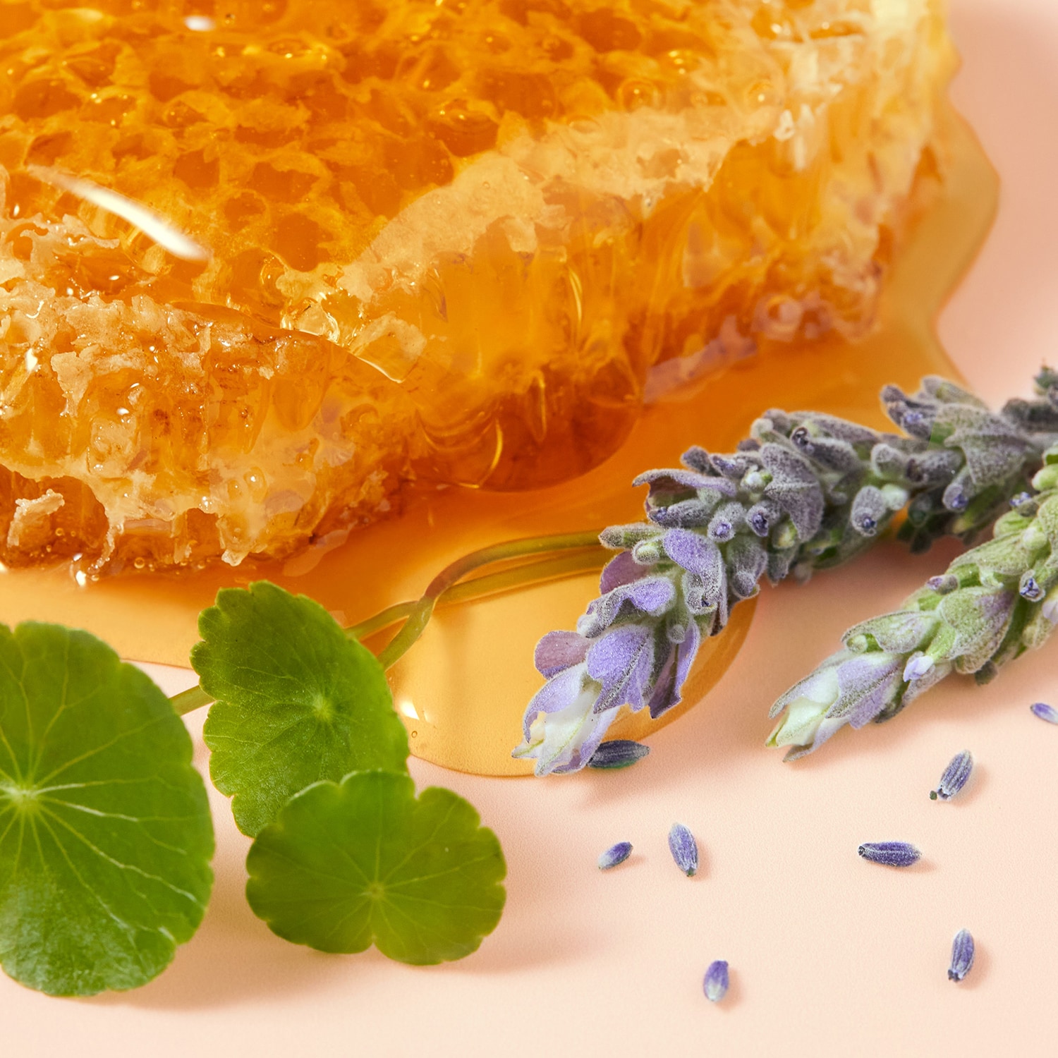 R&ecirc;ve de Miel&reg; - Crema de manos Cica