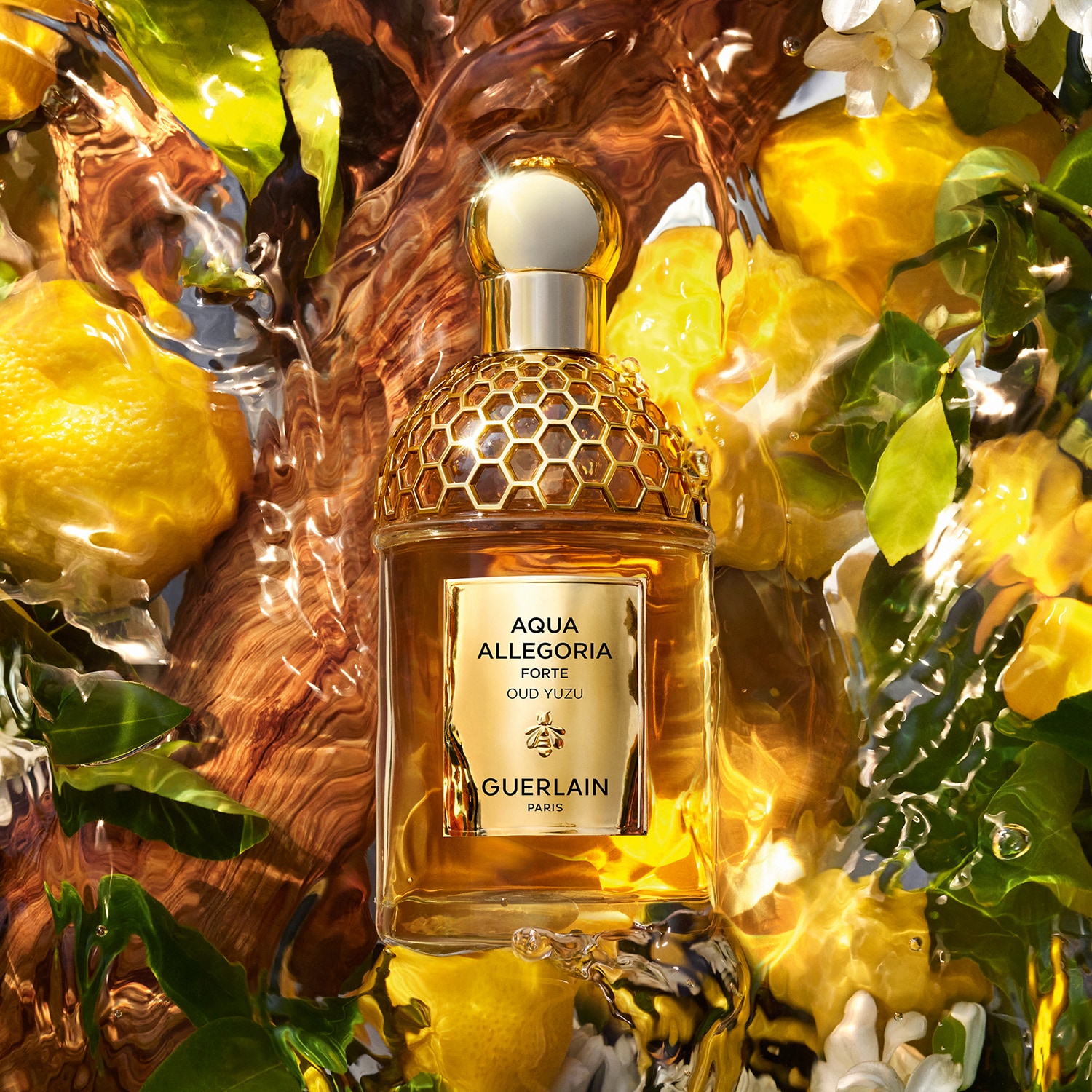 Aqua Allegoria Forte - Oud Yuzu - Eau de Parfum