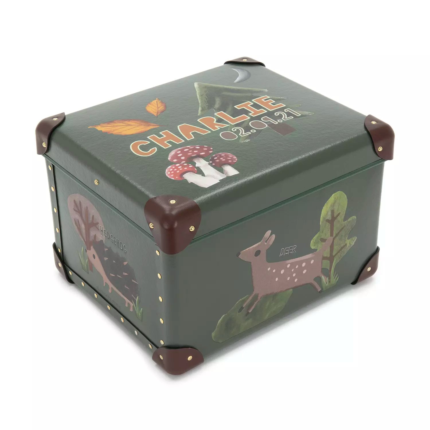 Childrens Storage Box