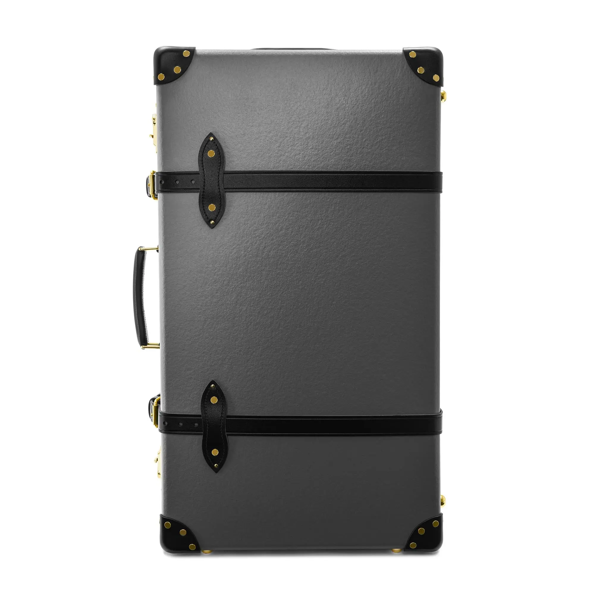 Large Check-In - 2 Wheels