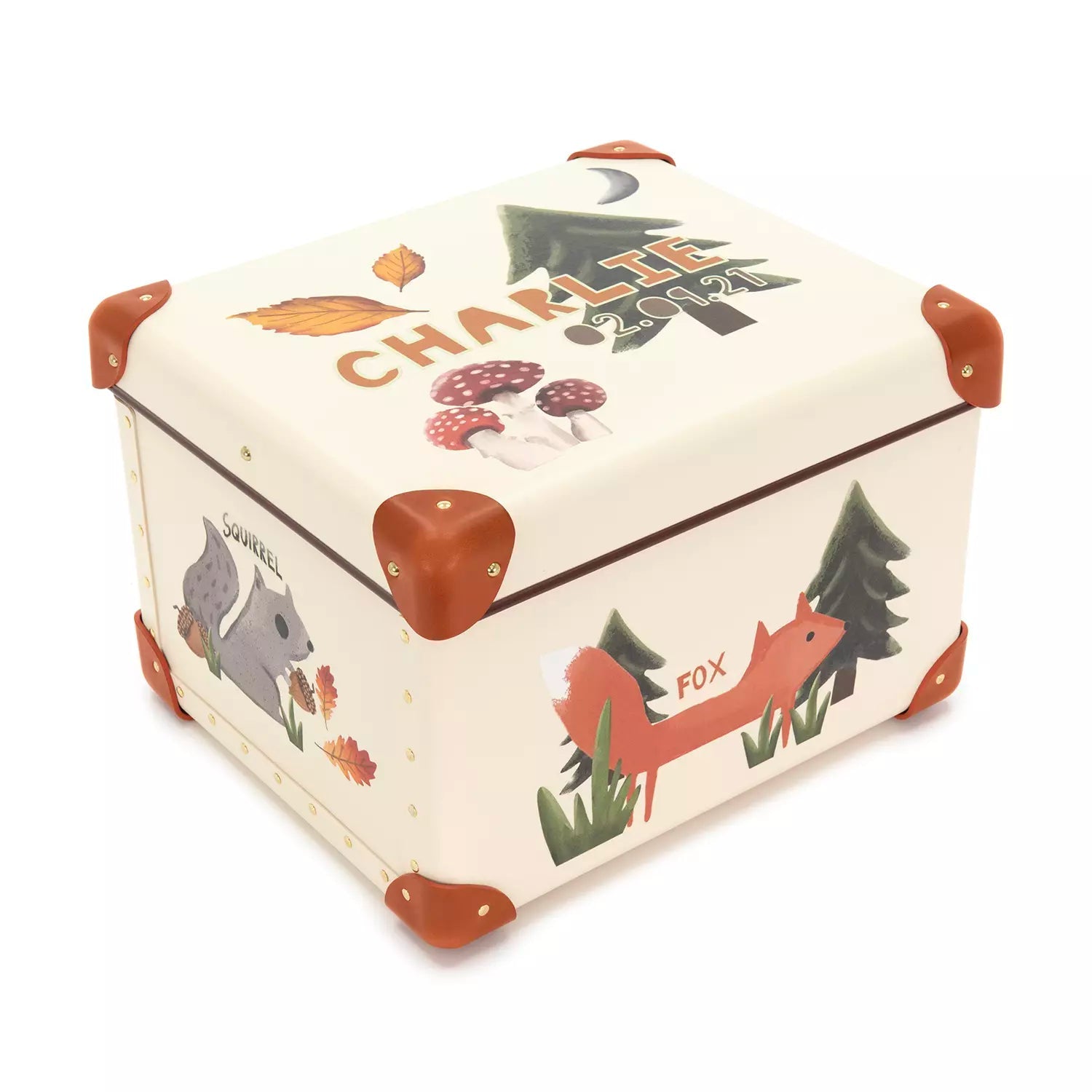 Childrens Storage Box