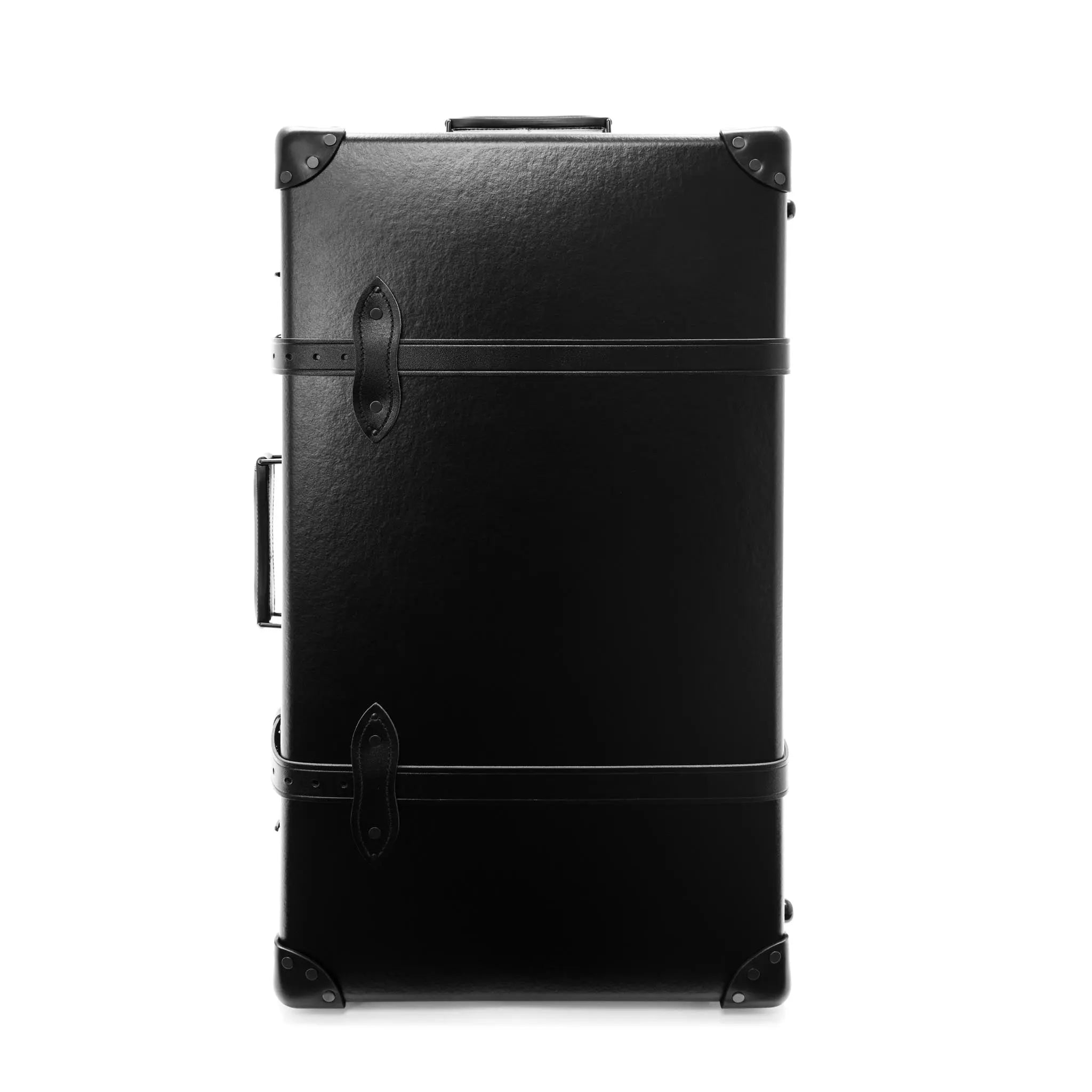 Large Check-In - 2 Wheels