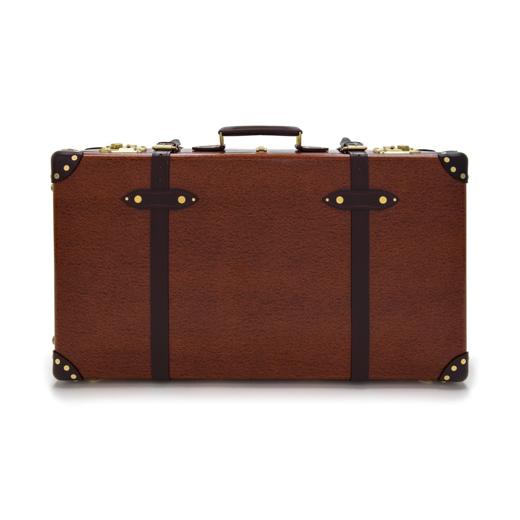 Large Check-In - 2 Wheels