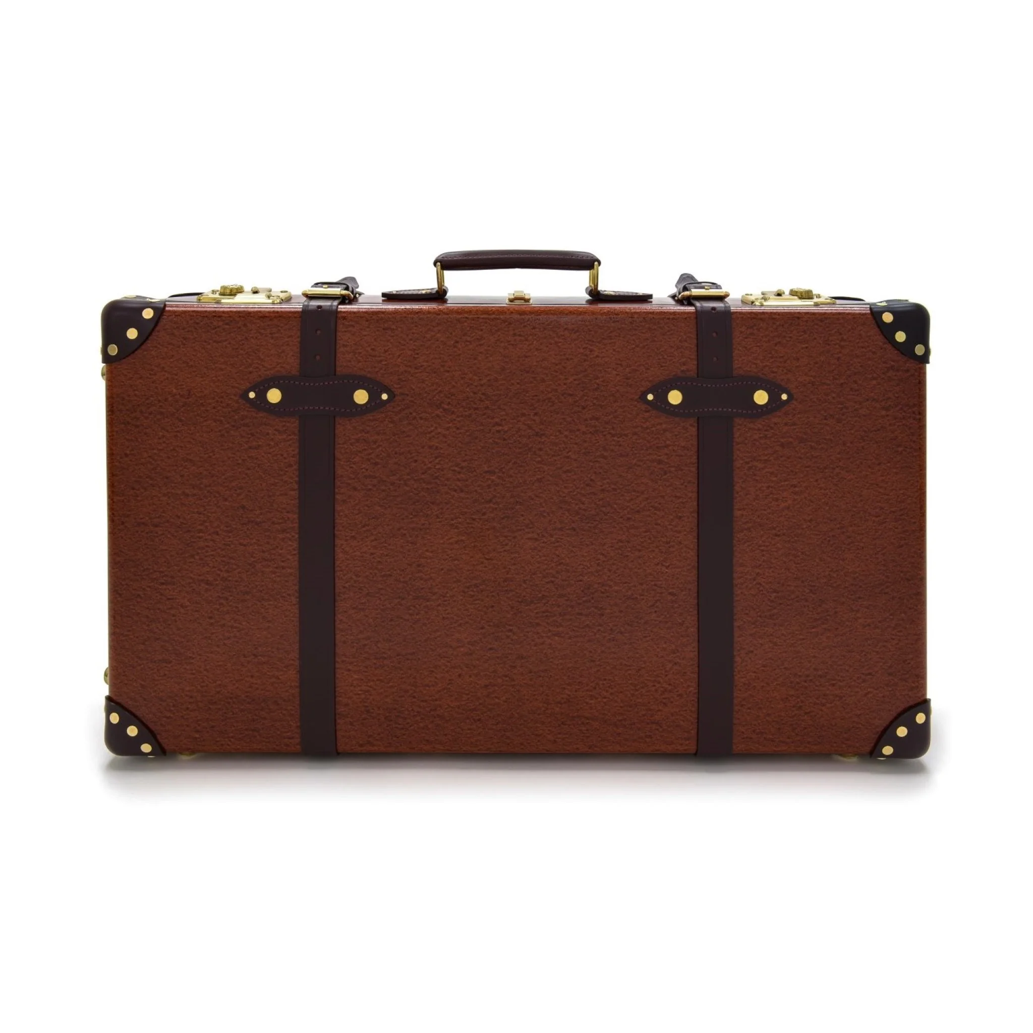 Large Check-In - 2 Wheels