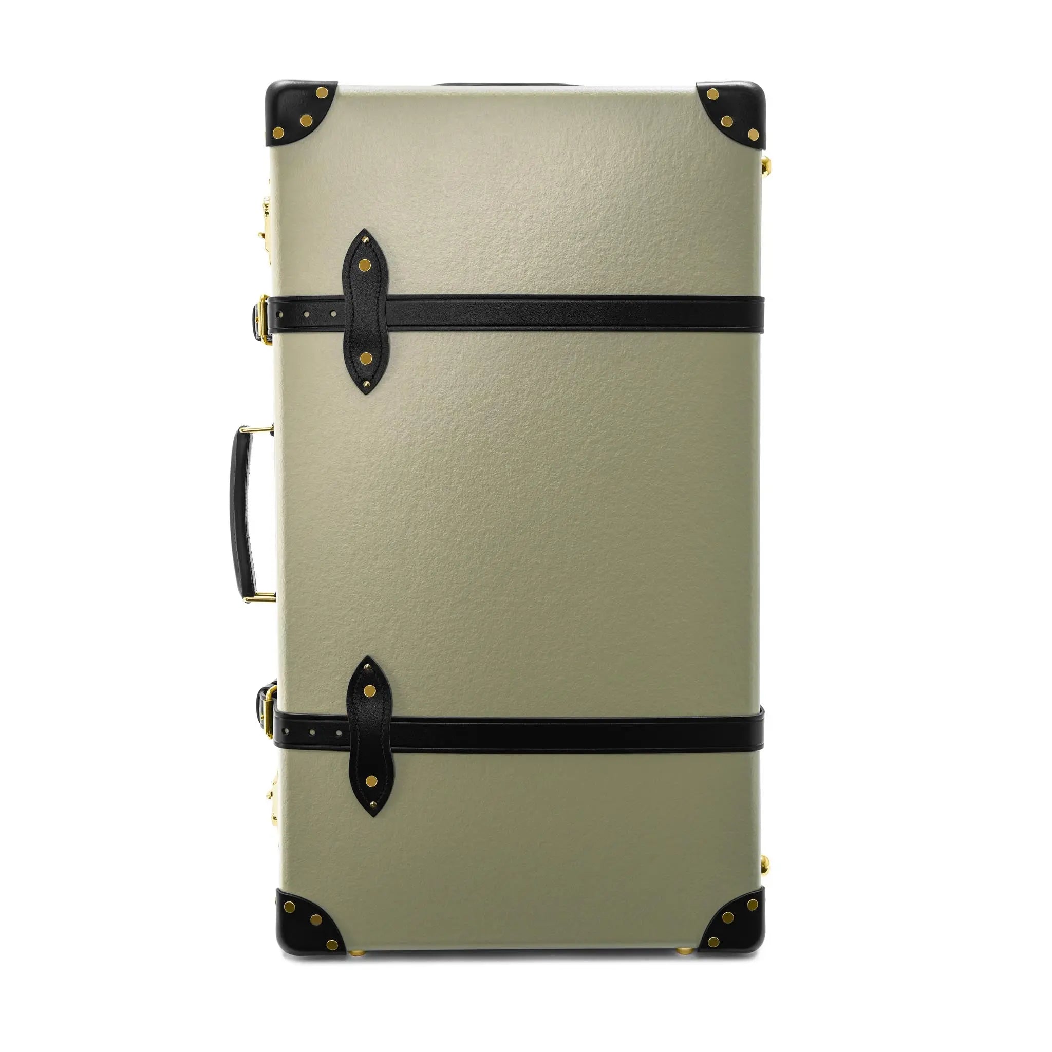 Large Check-In - 2 Wheels