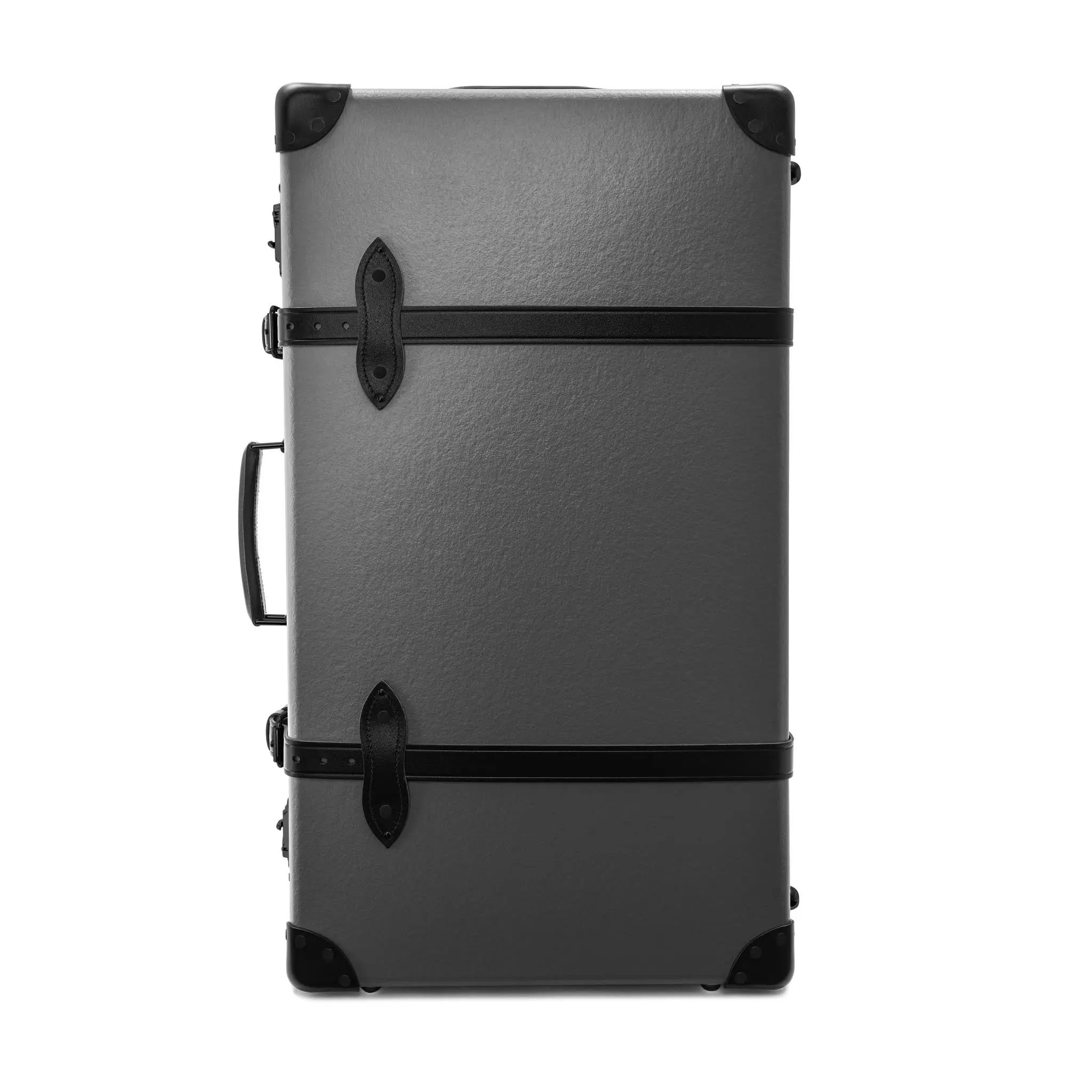 Large Check-In - 2 Wheels