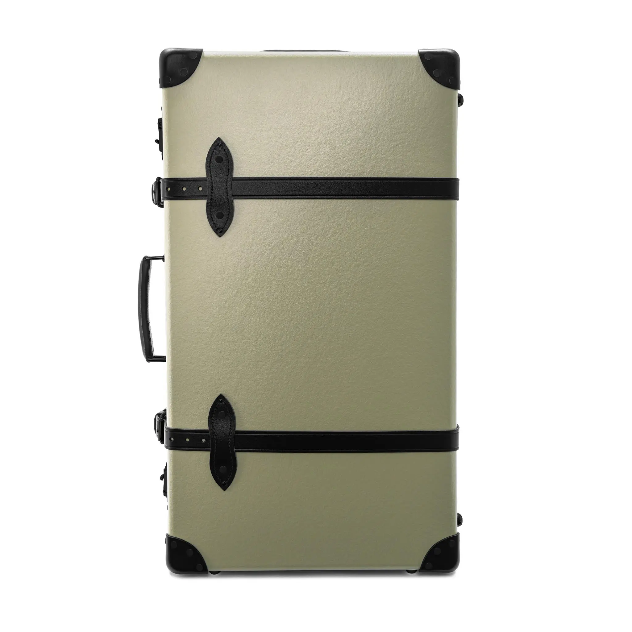 Large Check-In - 2 Wheels