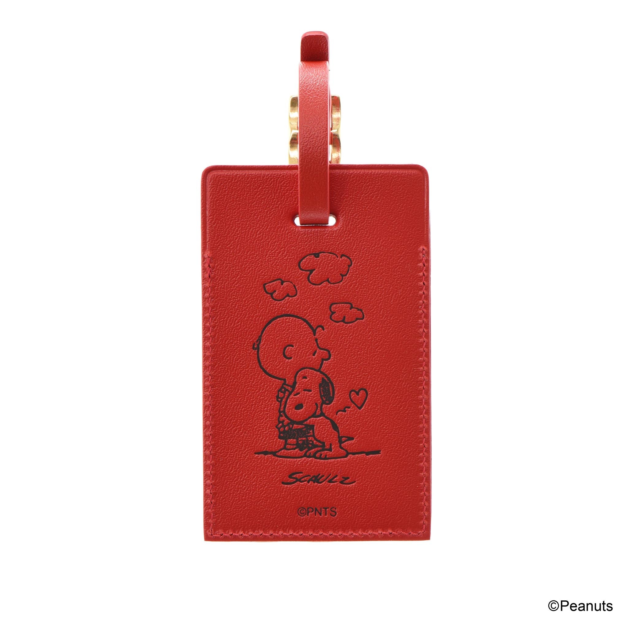 Large Luggage Tags