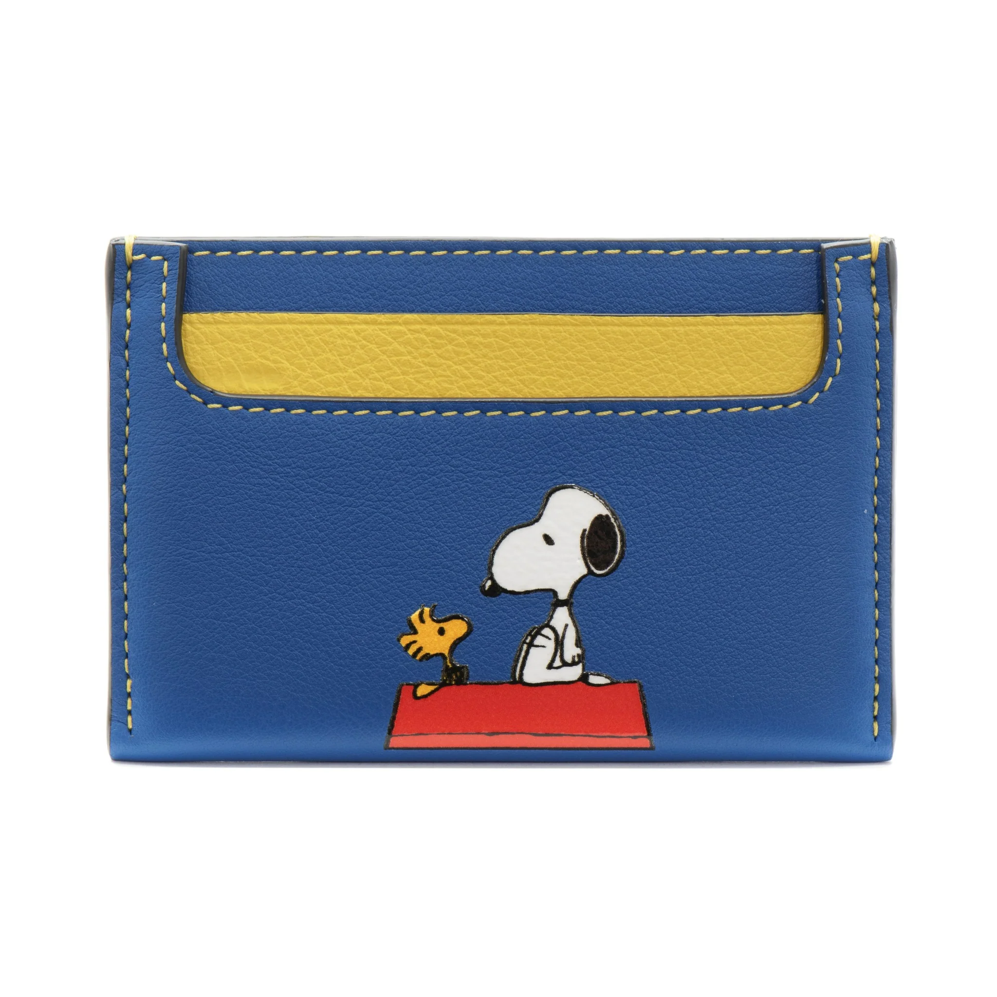 Credit Card Holder