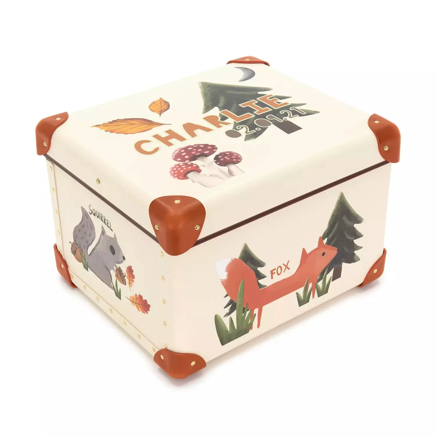 Childrens Storage Box