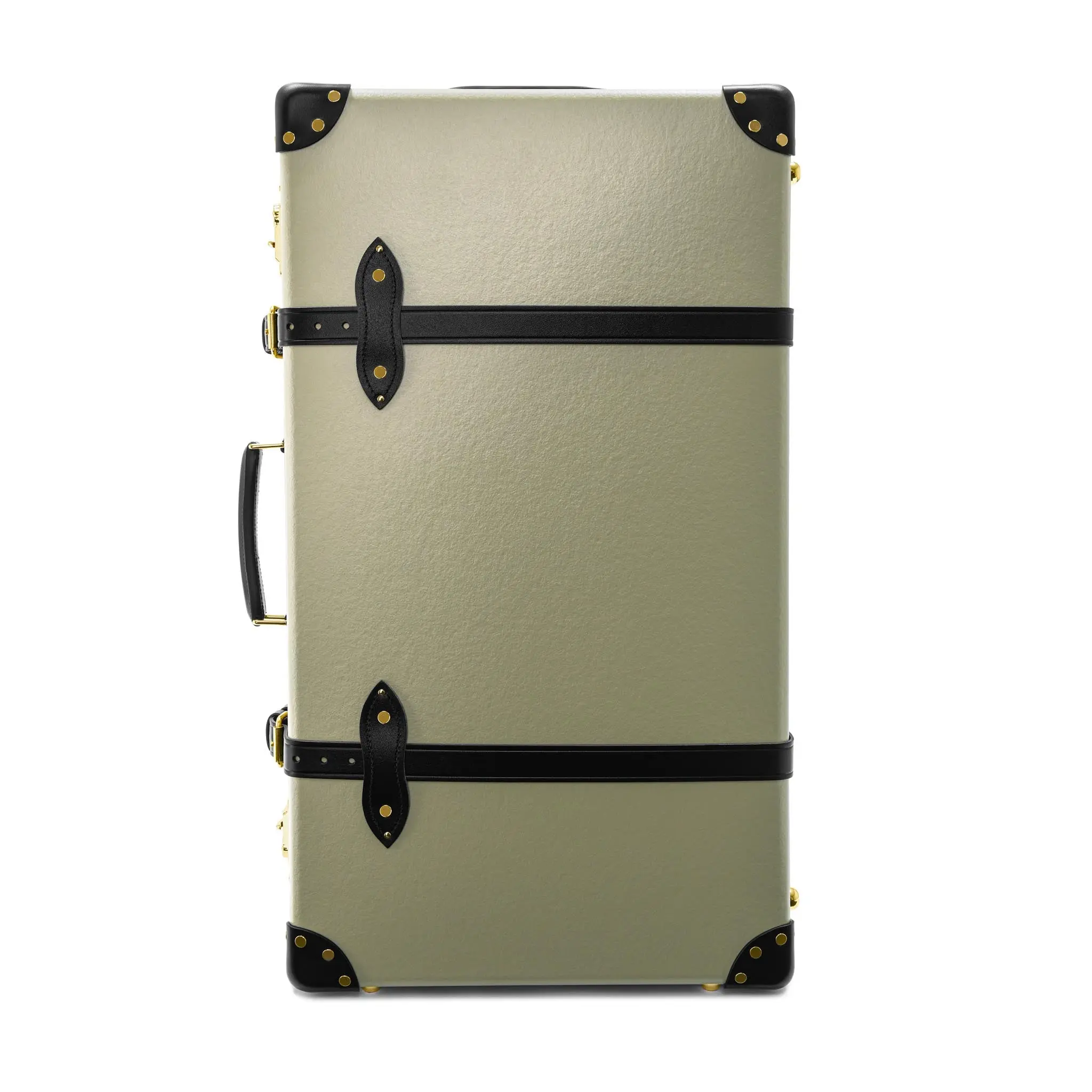 Large Check-In - 2 Wheels