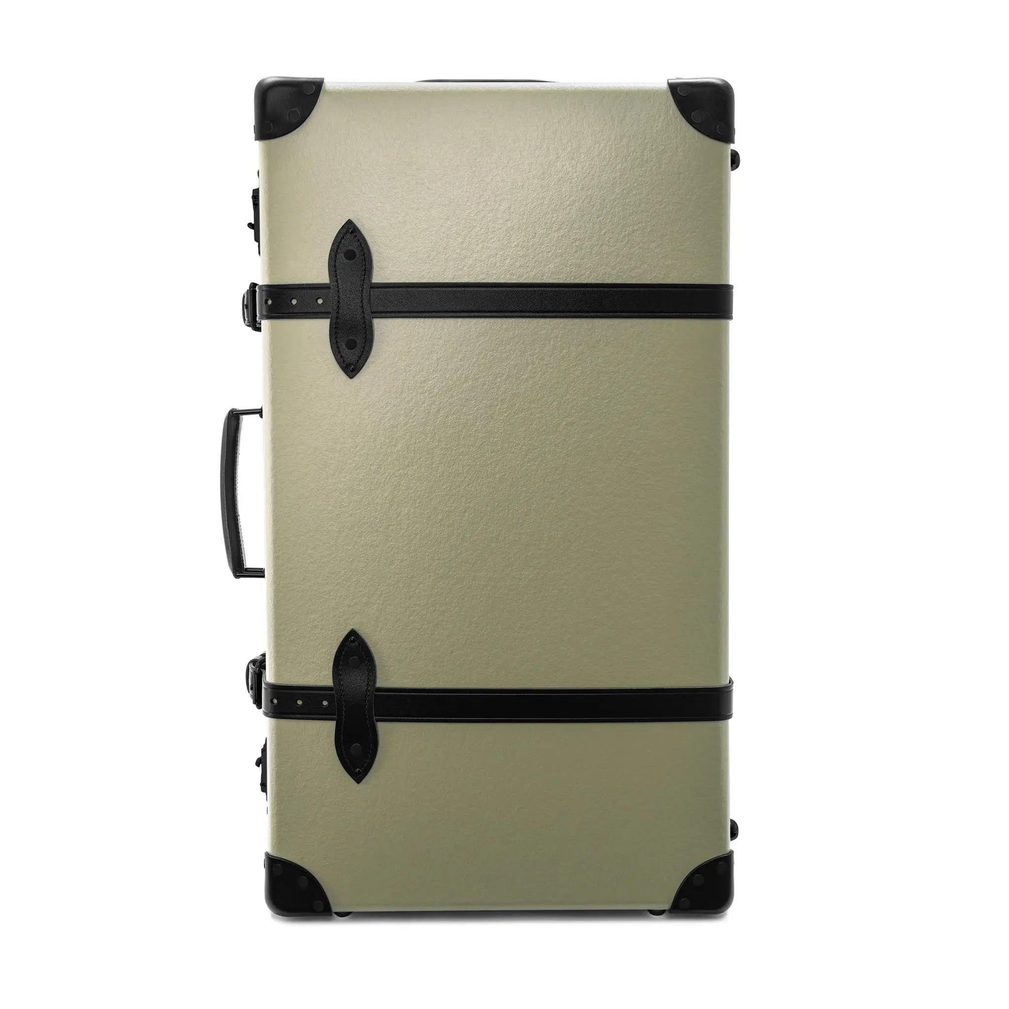 Large Check-In - 2 Wheels