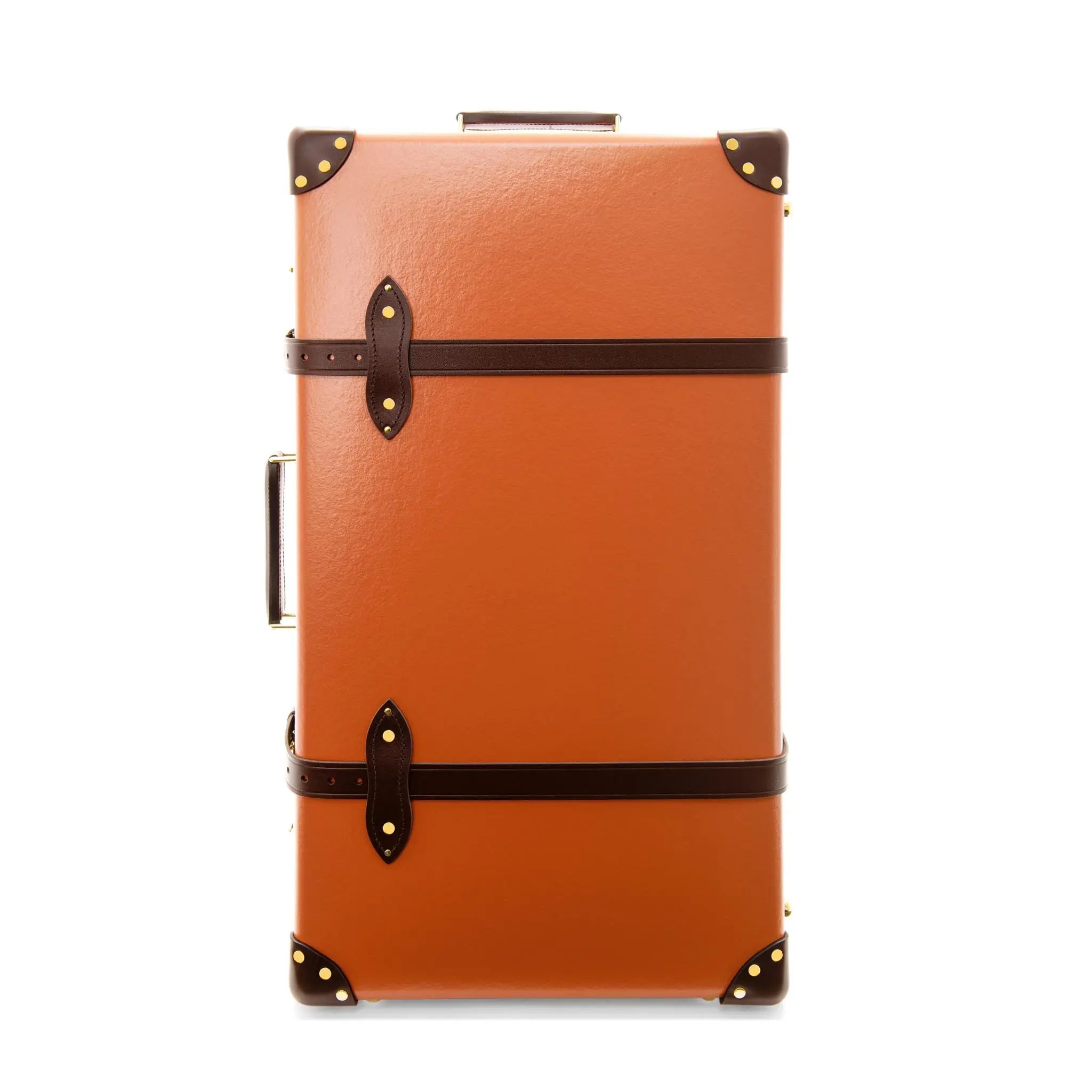 Large Check-In - 2 Wheels