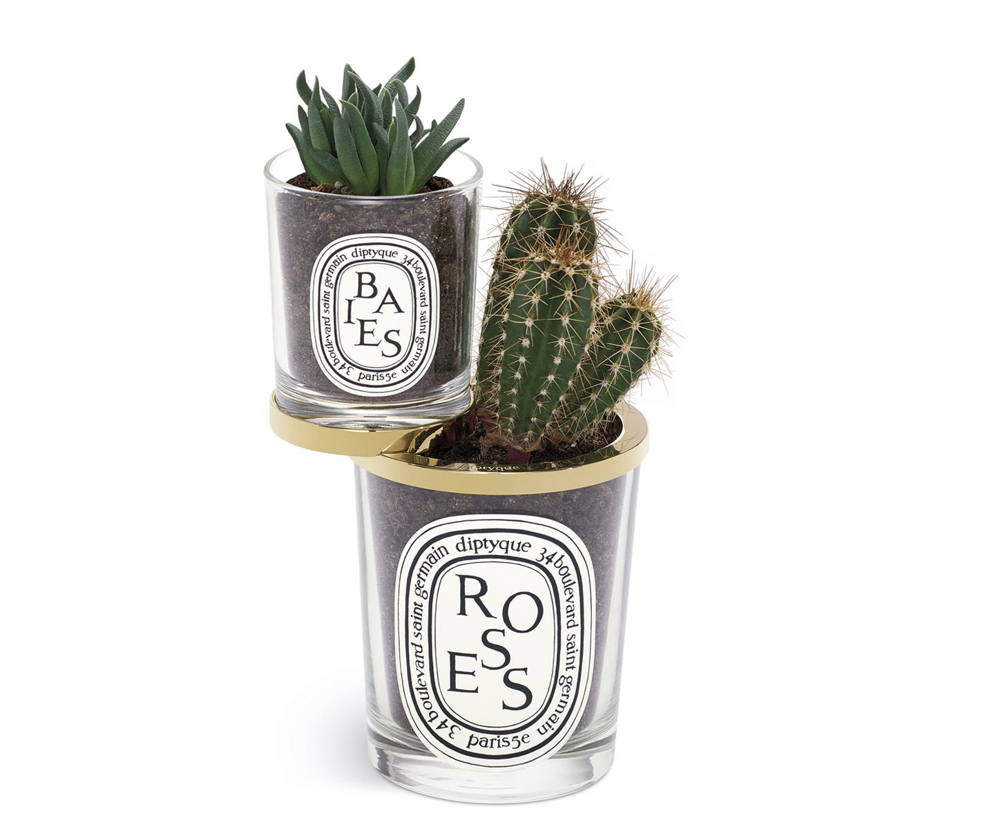 The Inseparables - Second-life Accessory for empty candle jar